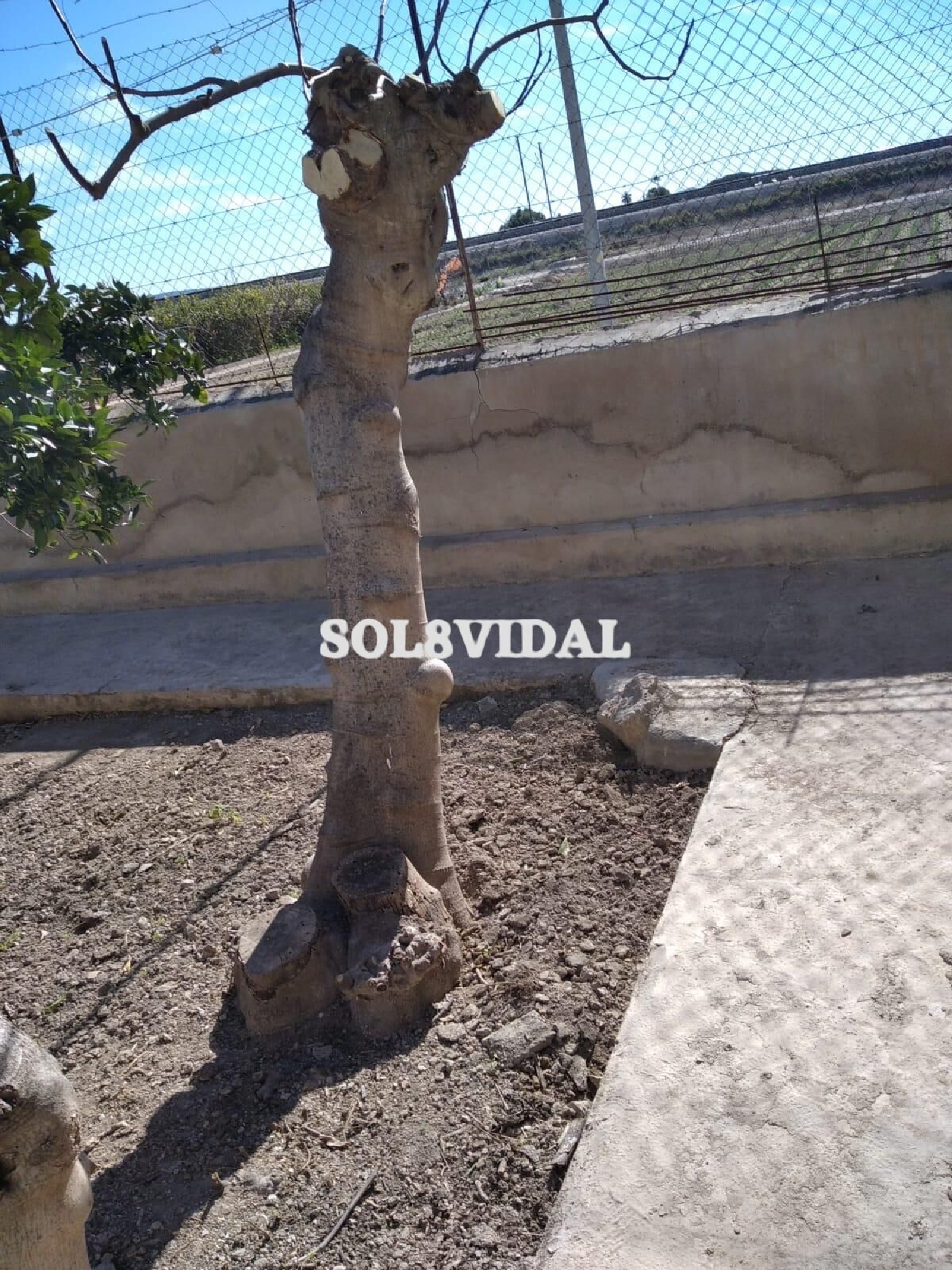  à vendre villa Orihuela Baix Segura 7