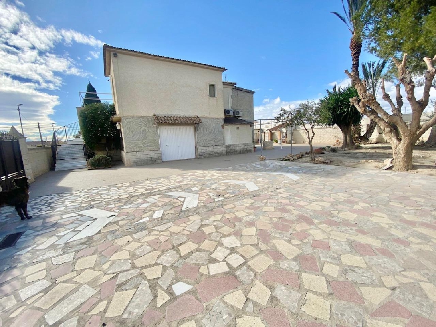 à vendre villa Orihuela Baix Segura 6