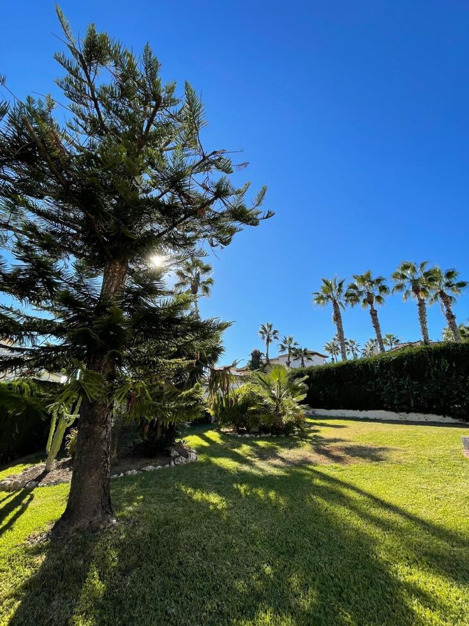  till salu villa Orihuela Costa Baix Segura 5