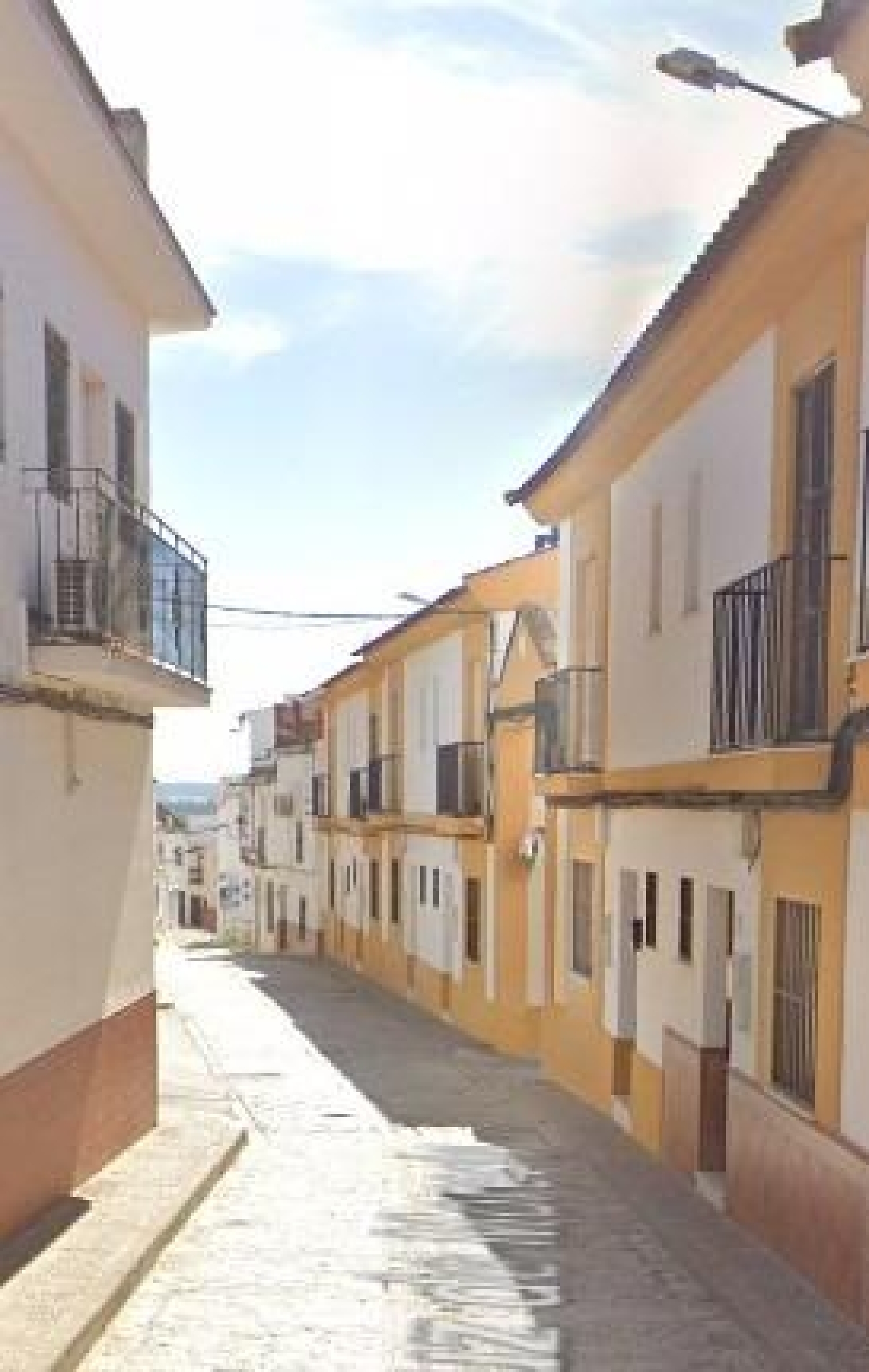 for sale villa Peñaflor Vega Del Guadalquivir 1