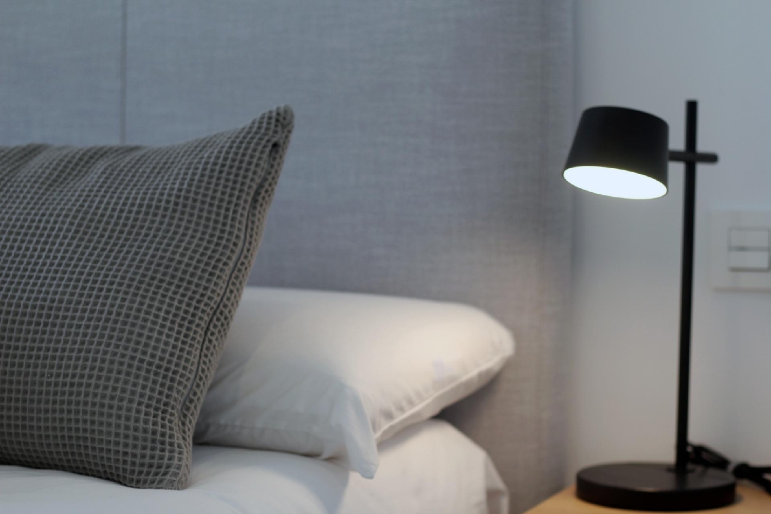  te koop villa Pilar De La Horadada Baix Segura 33