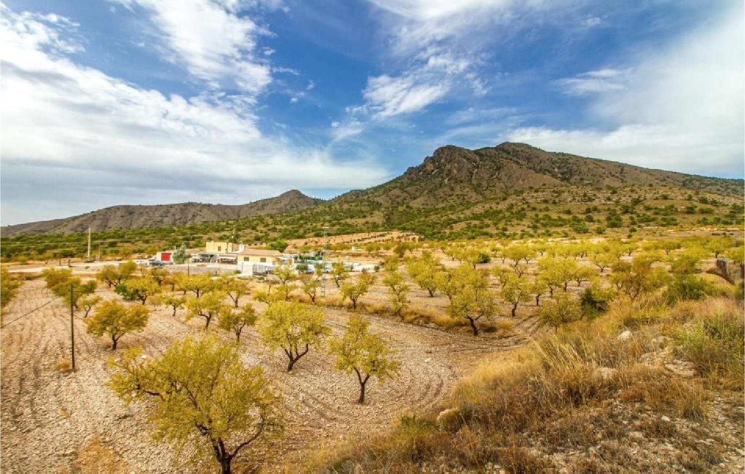  for sale villa Pinoso Vinalopó Mitjà 2