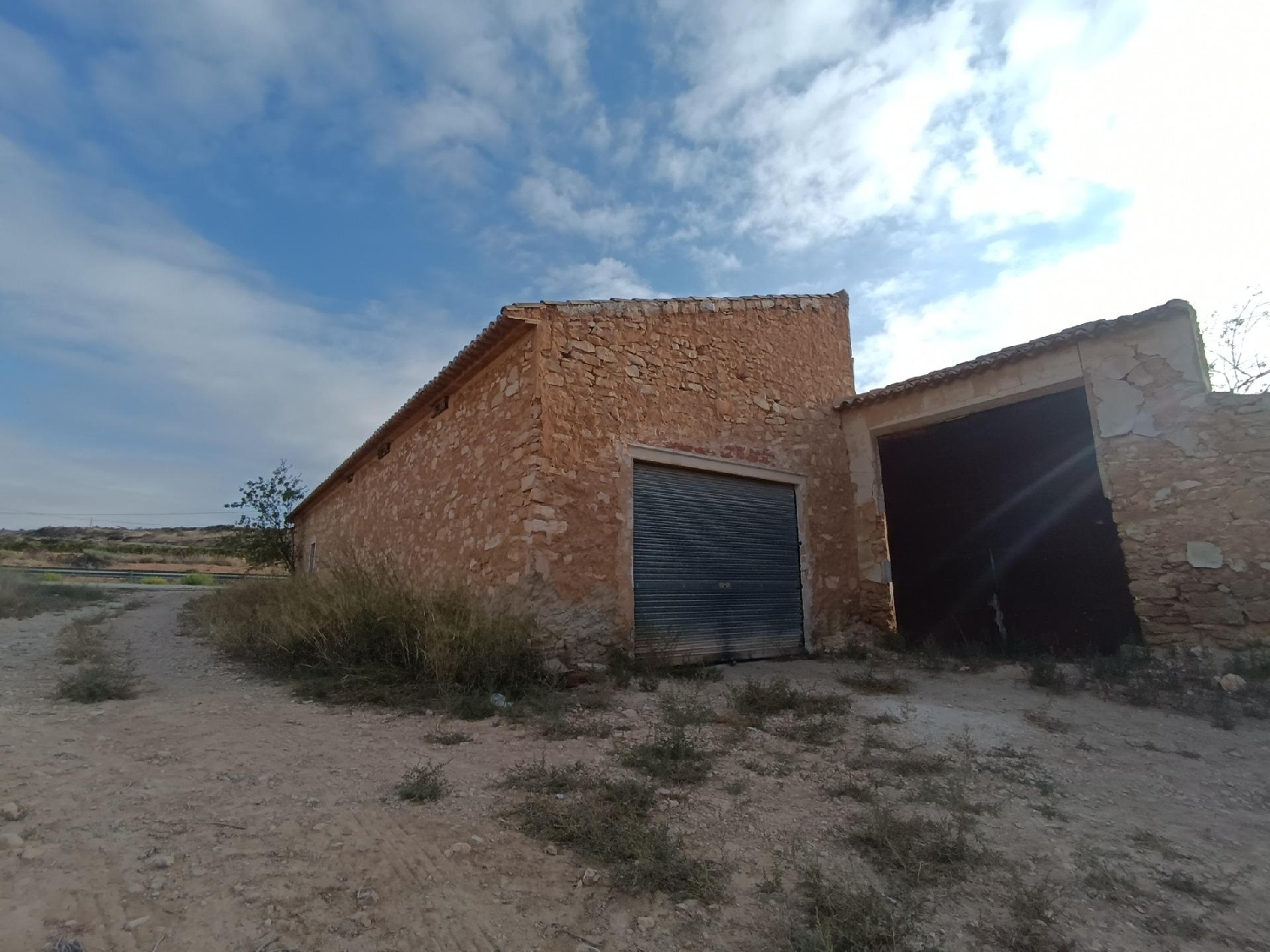  for sale villa Pinoso Vinalopó Mitjà 5