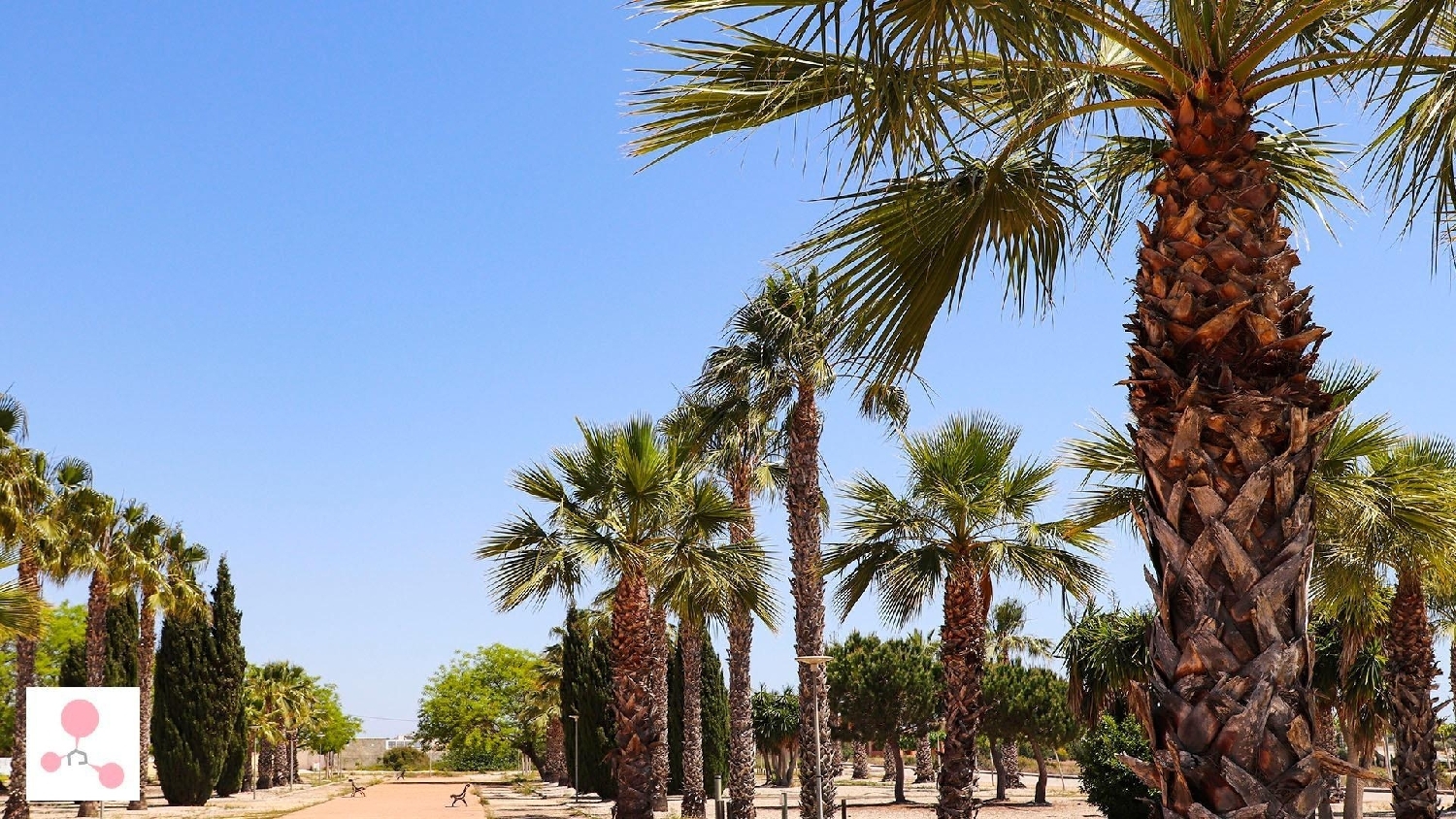  te koop villa San Fulgencio Baix Segura 9