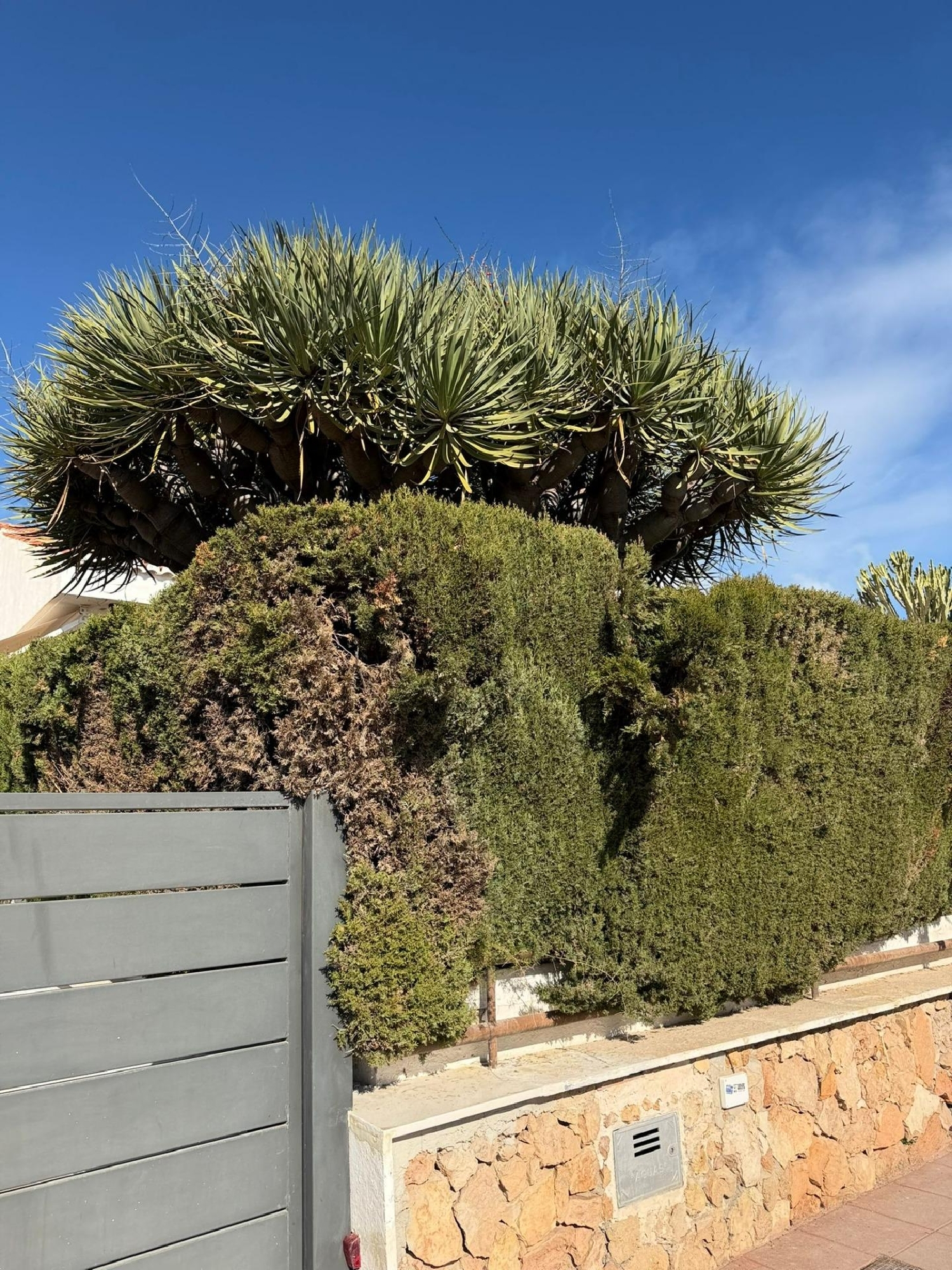  till salu villa Santa Pola Baix Vinalopó 4