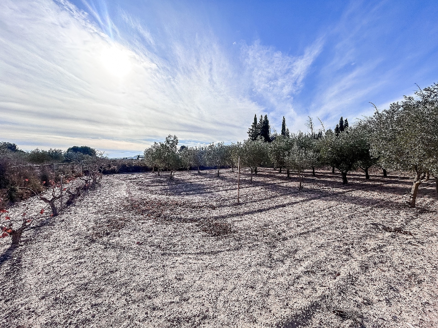  te koop villa Sax Alt Vinalopó 27