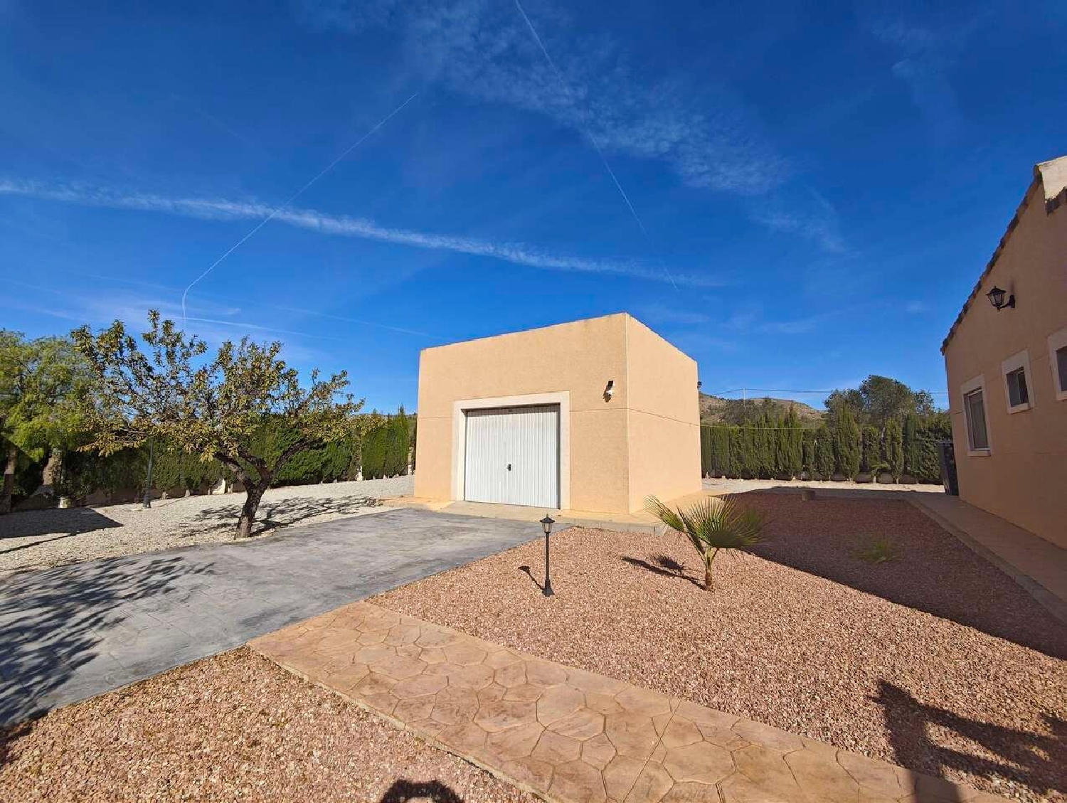  till salu villa Sax Alt Vinalopó 13