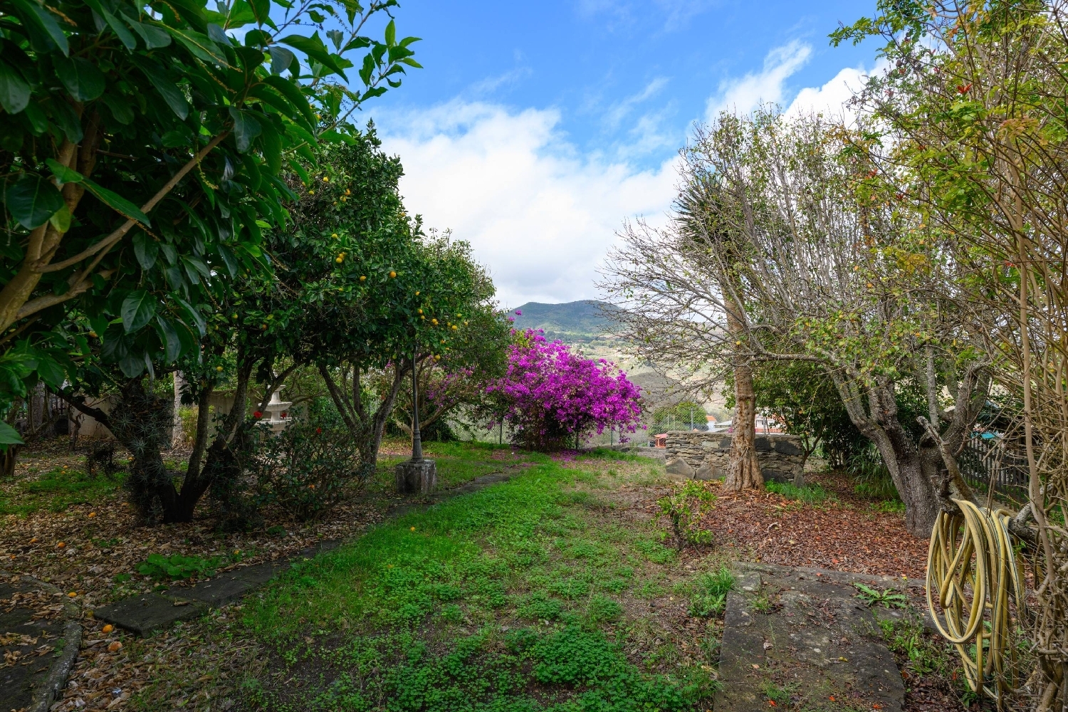 à vendre villa Teror Área Norte 8