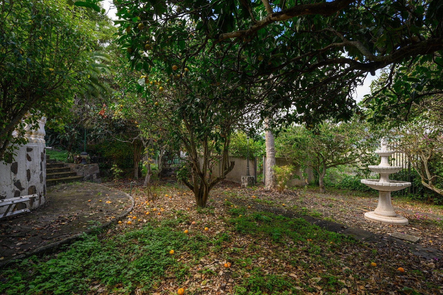 à vendre villa Teror Área Norte 5