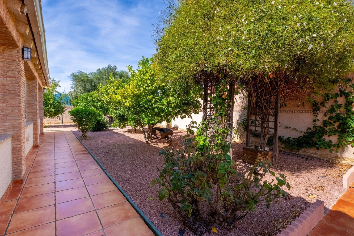 à vendre villa Torrevieja Baix Segura 7