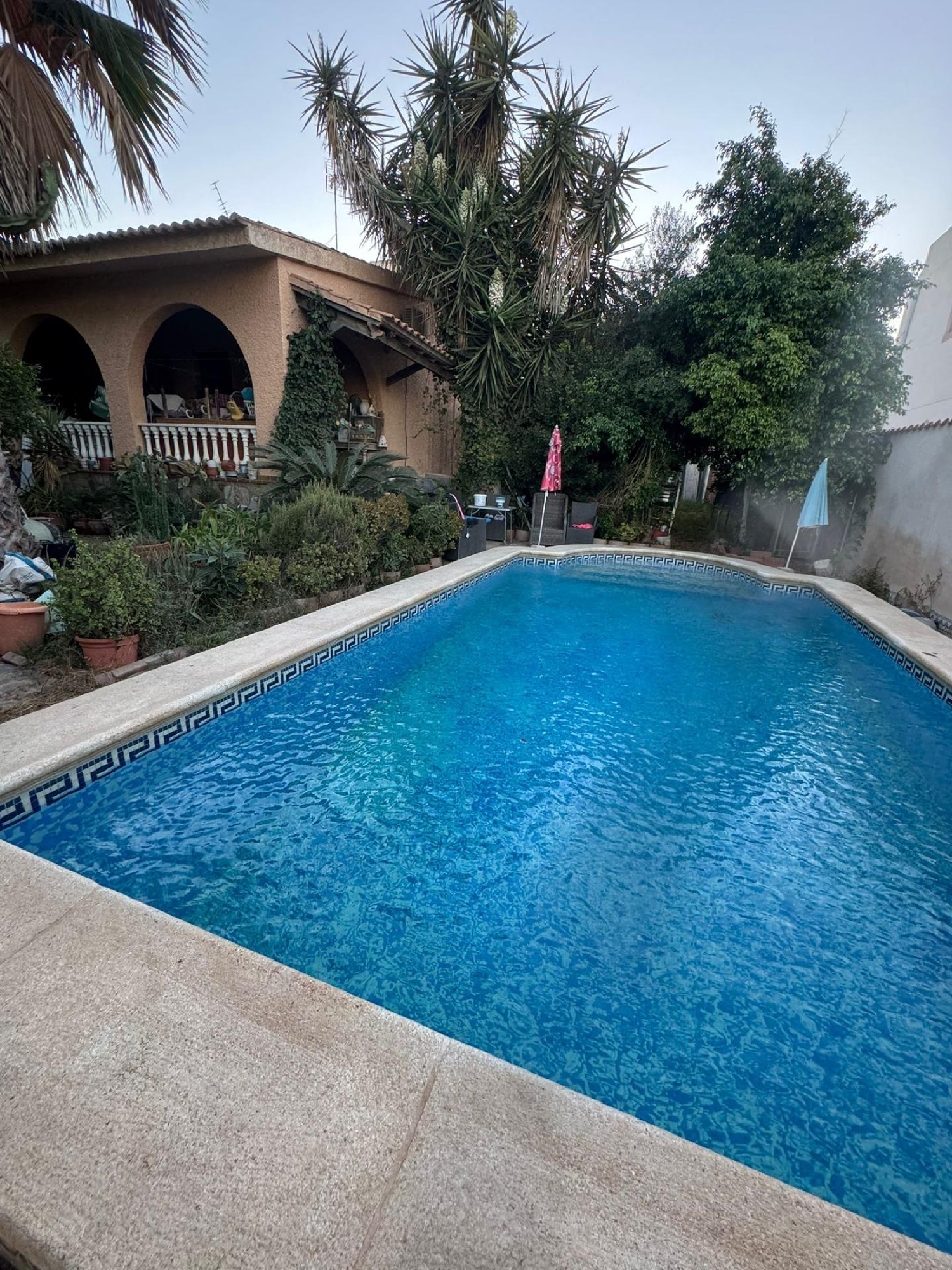  till salu villa Torrevieja Baix Segura 4