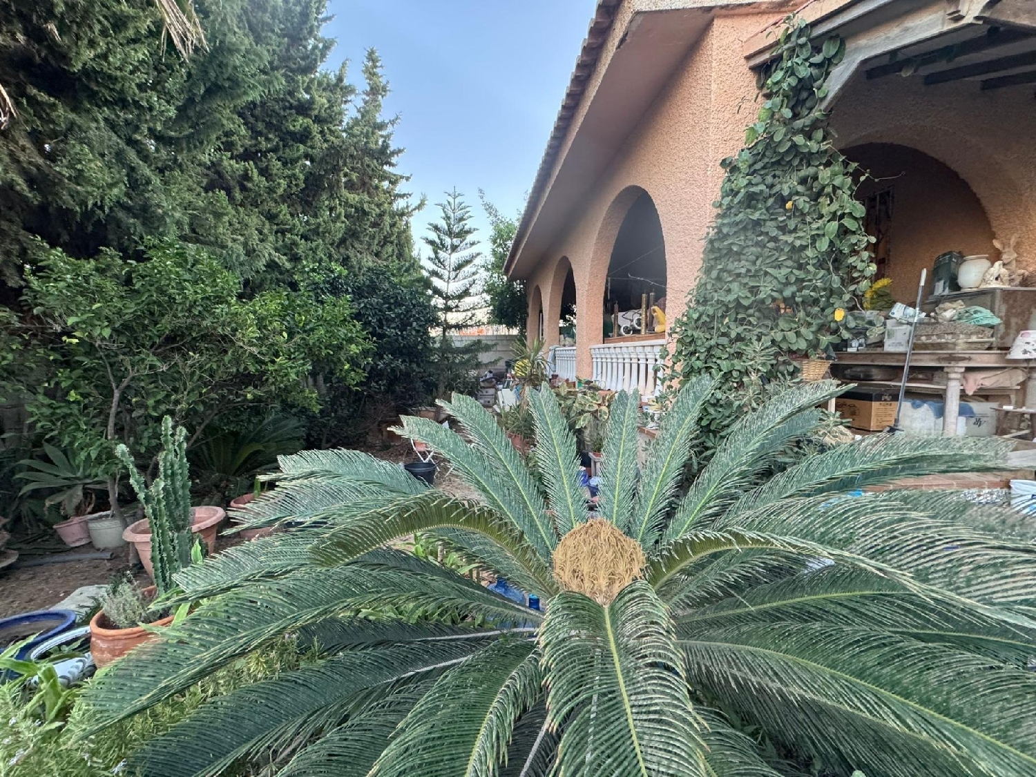  till salu villa Torrevieja Baix Segura 3