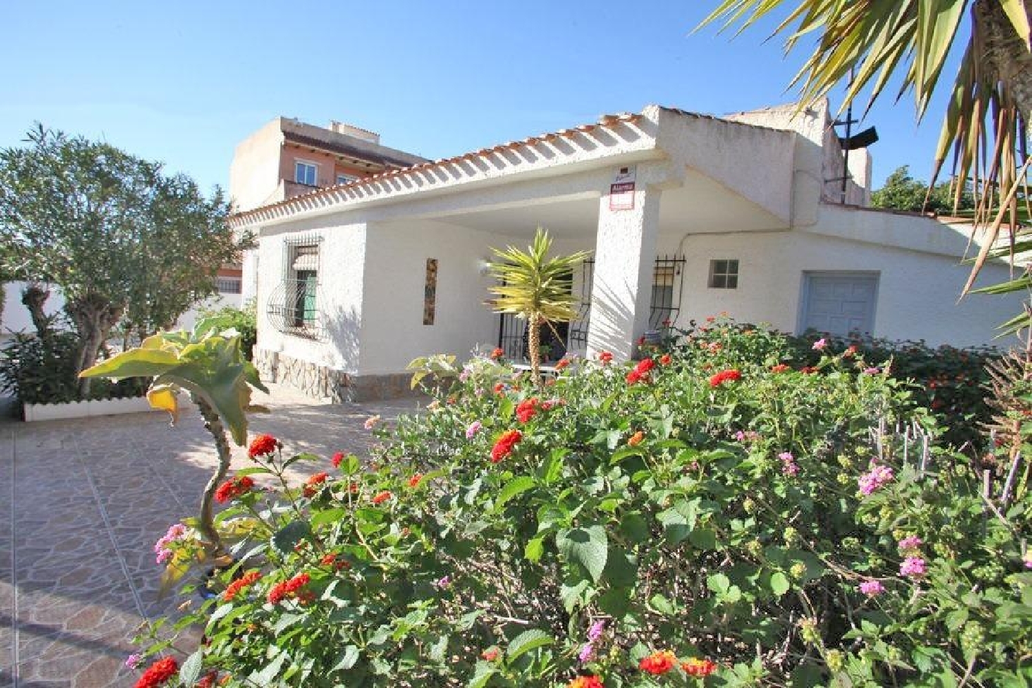  en venta chalet Torrevieja Baix Segura 4