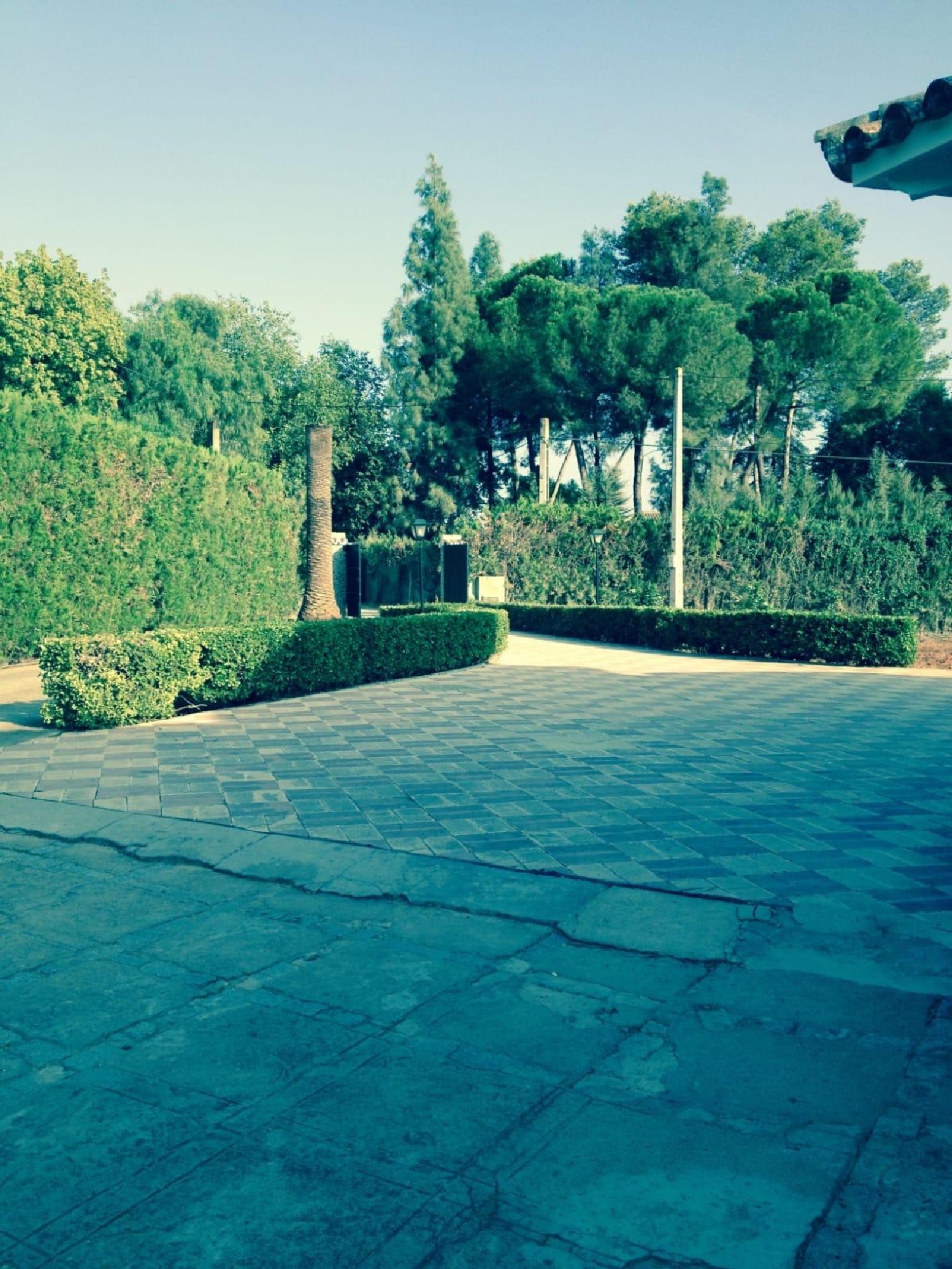  à vendre villa Villanueva Del Ariscal Aljarafe 5