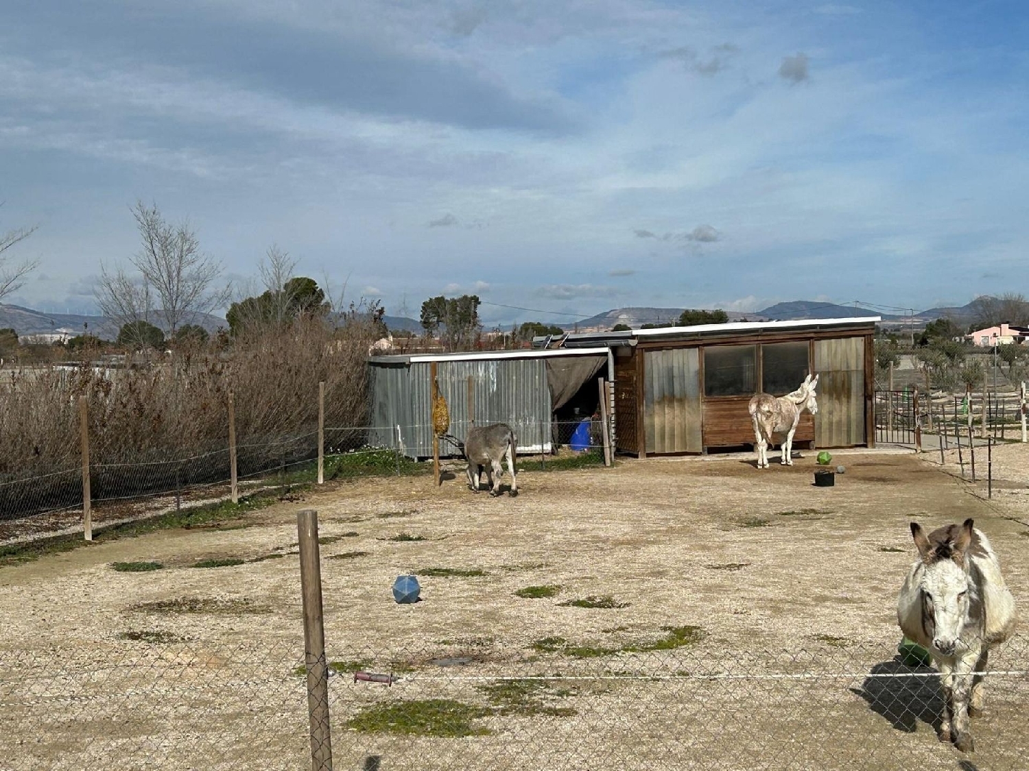  à vendre villa Villena Alt Vinalopó 10