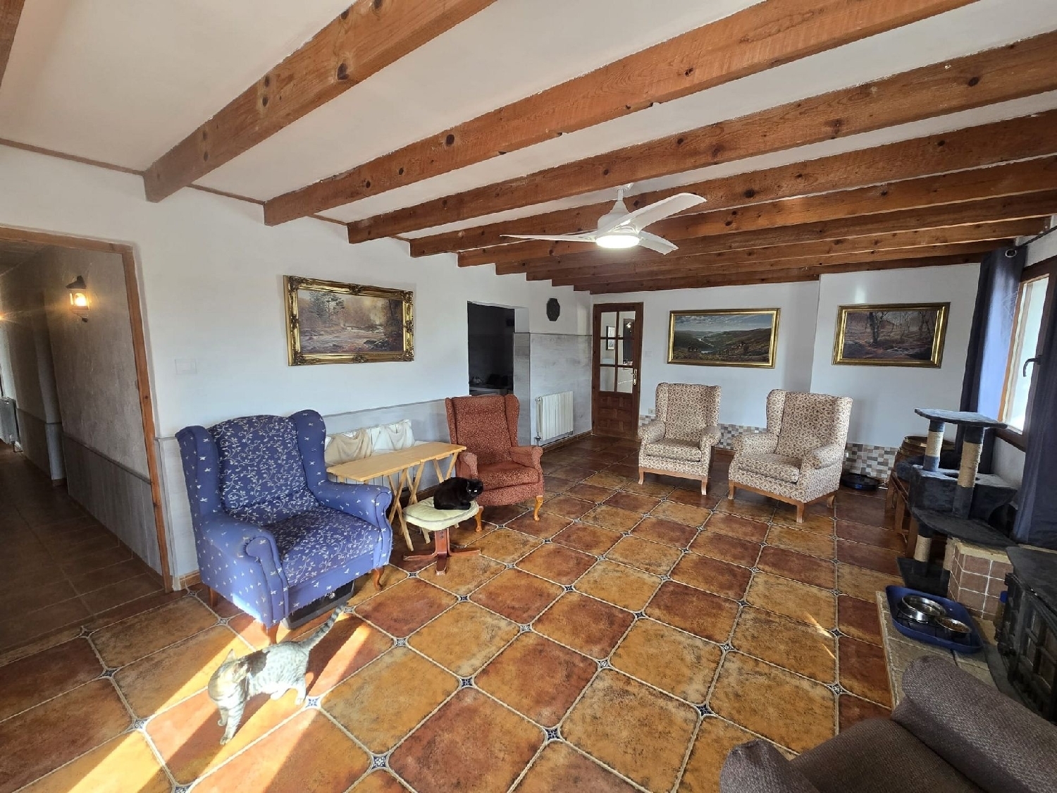  à vendre villa Villena Alt Vinalopó 25