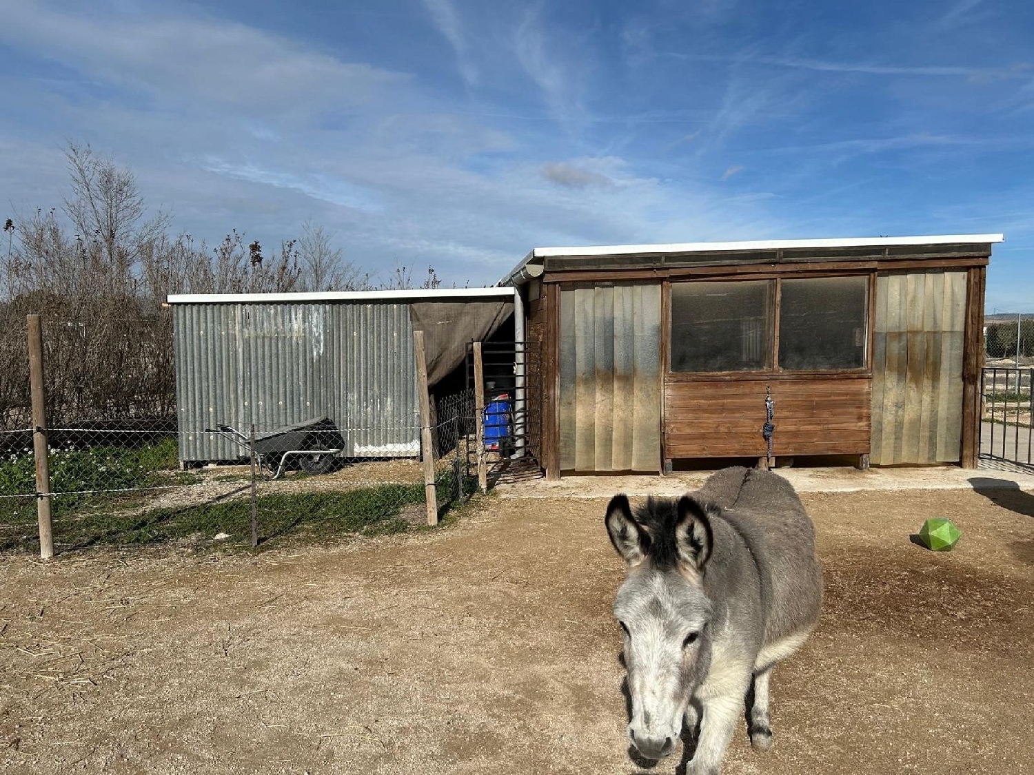  à vendre villa Villena Alt Vinalopó 7