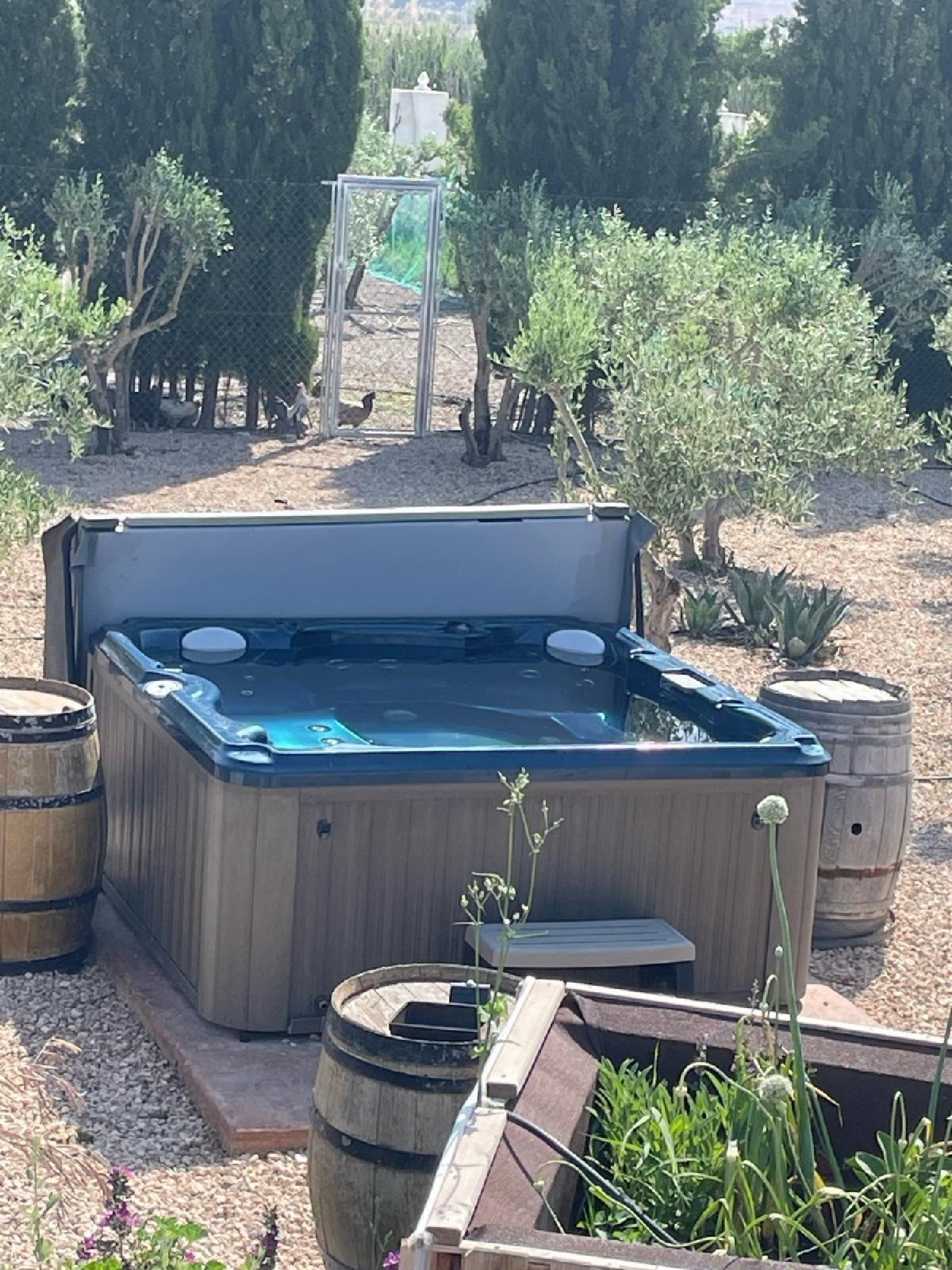  till salu villa Villena Alt Vinalopó 3