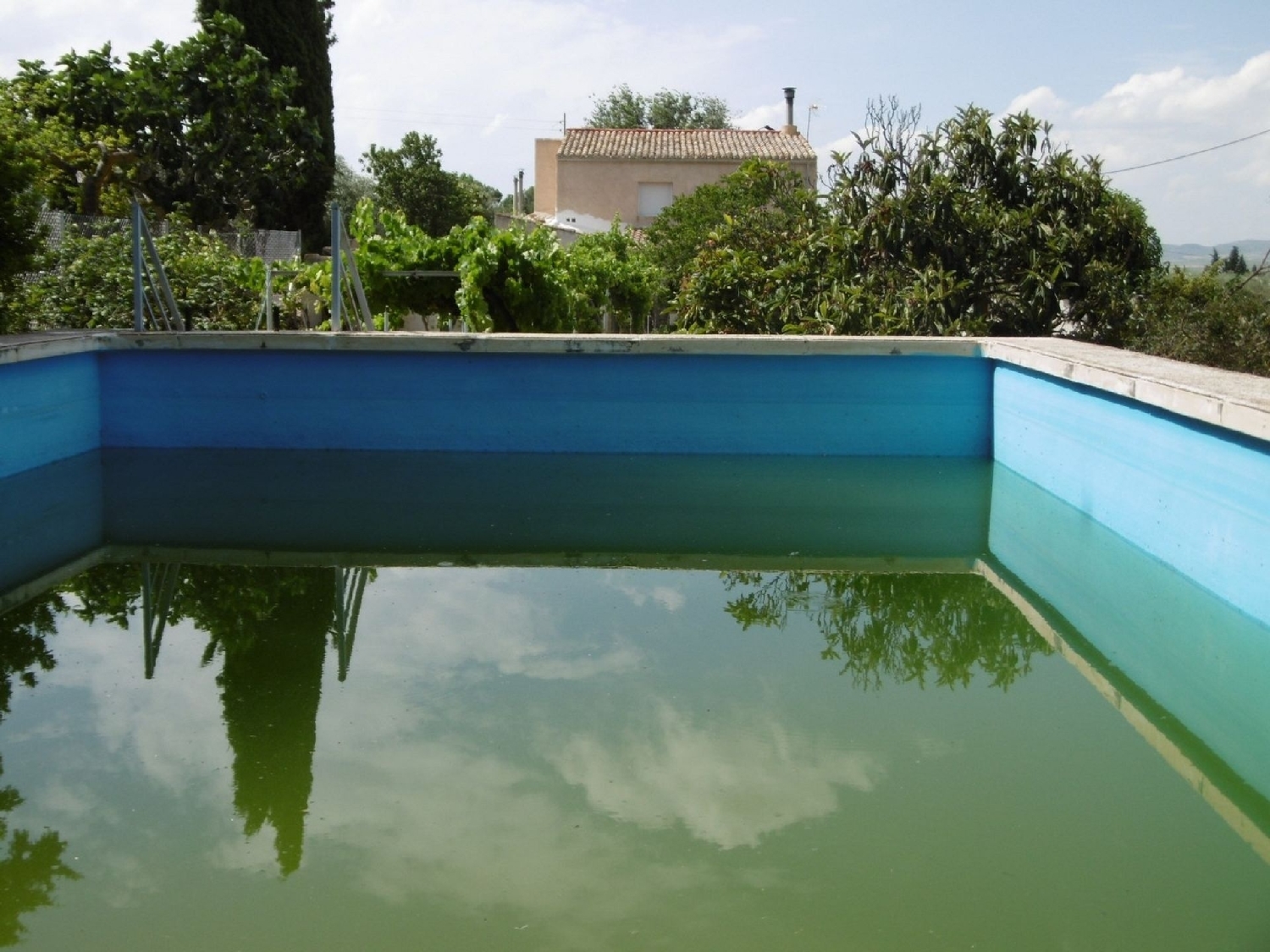  for sale villa Yecla Altiplano 3