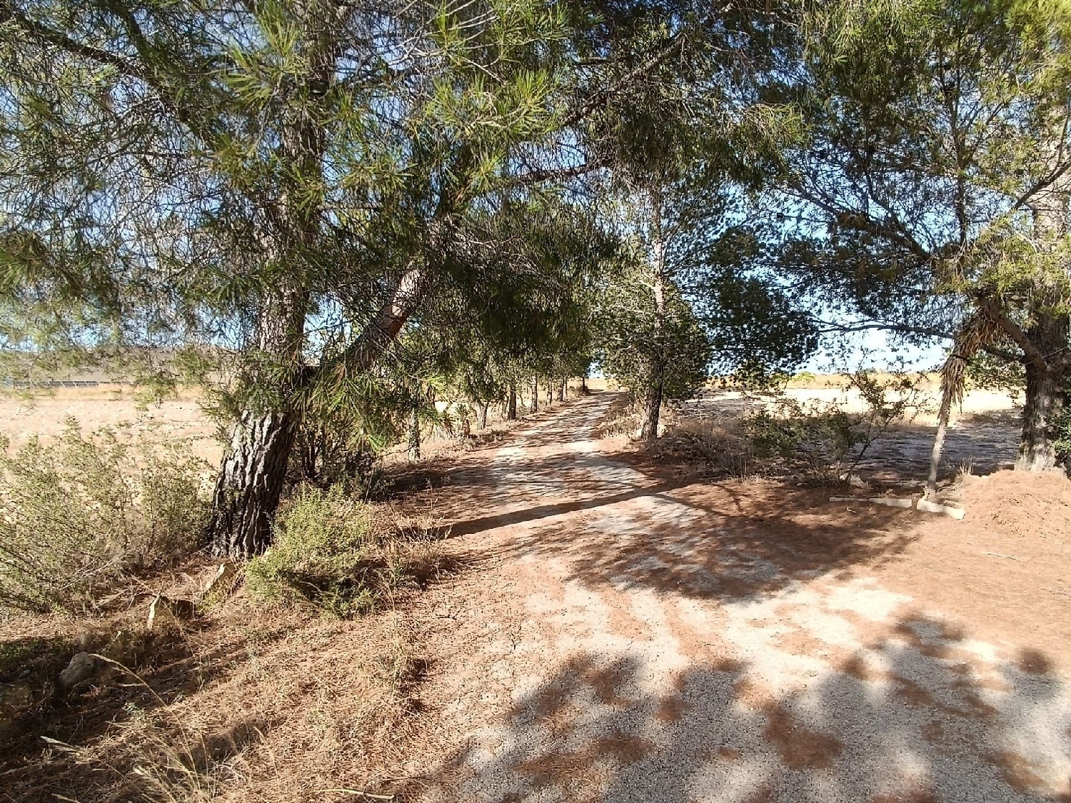  for sale villa Yecla Altiplano 18