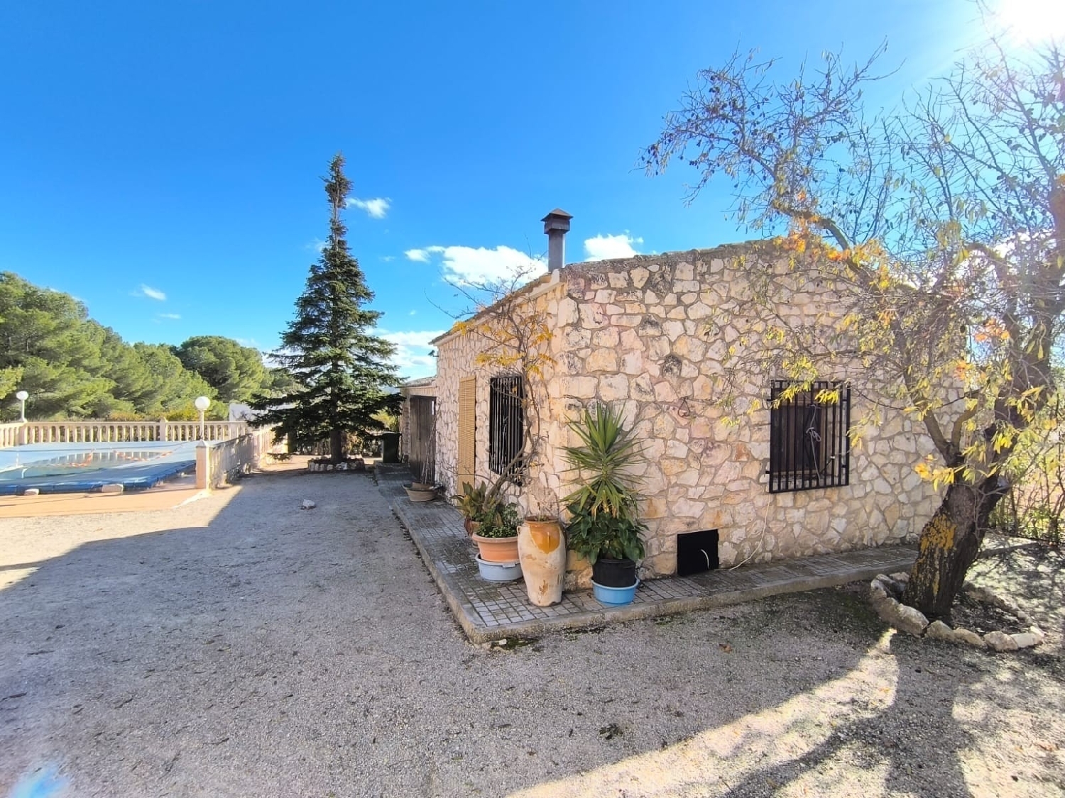  till salu villa Yecla Altiplano 5