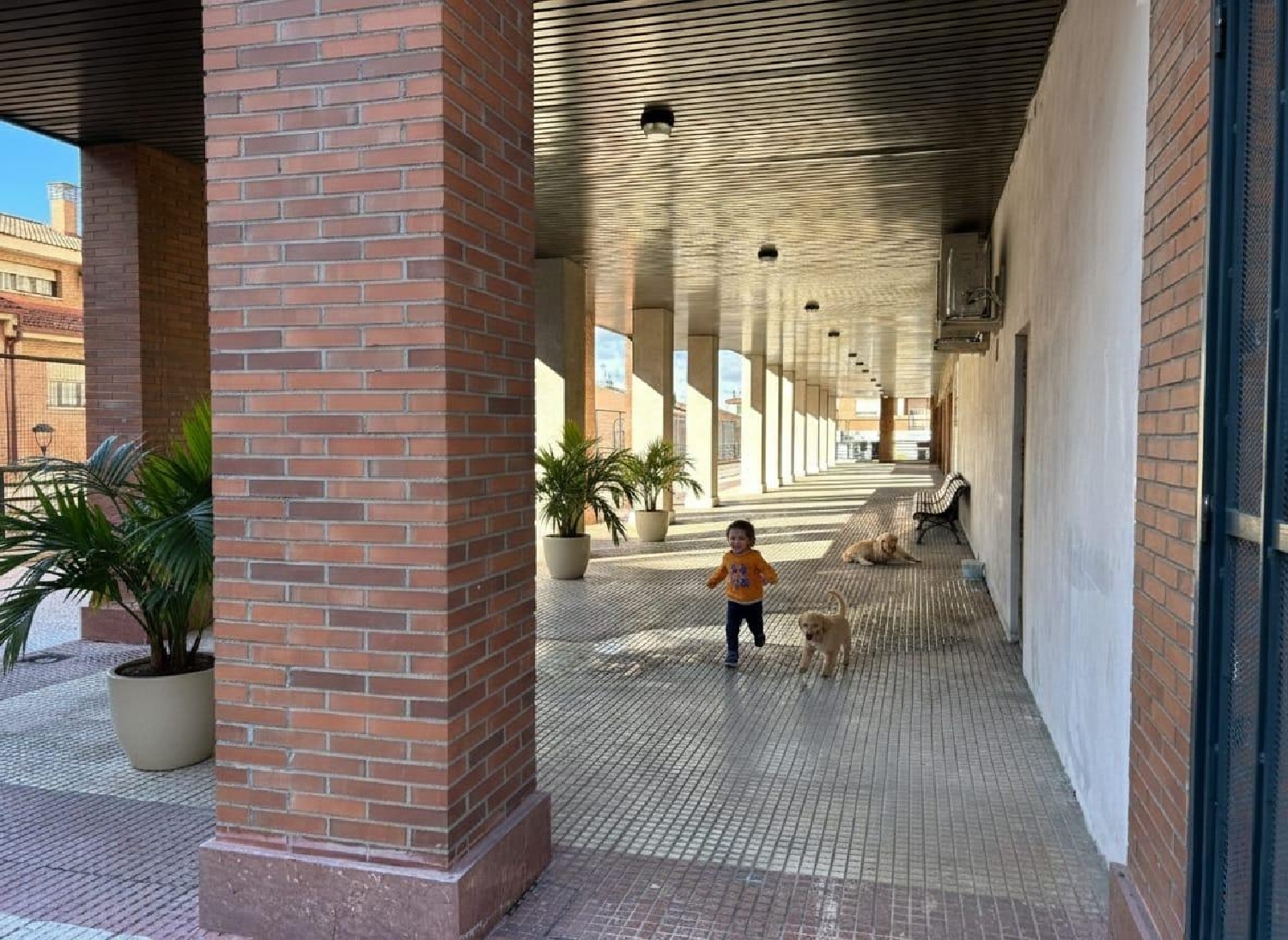  kaufen Wohnung Aldeanueva De Guadalajara Campiña 4