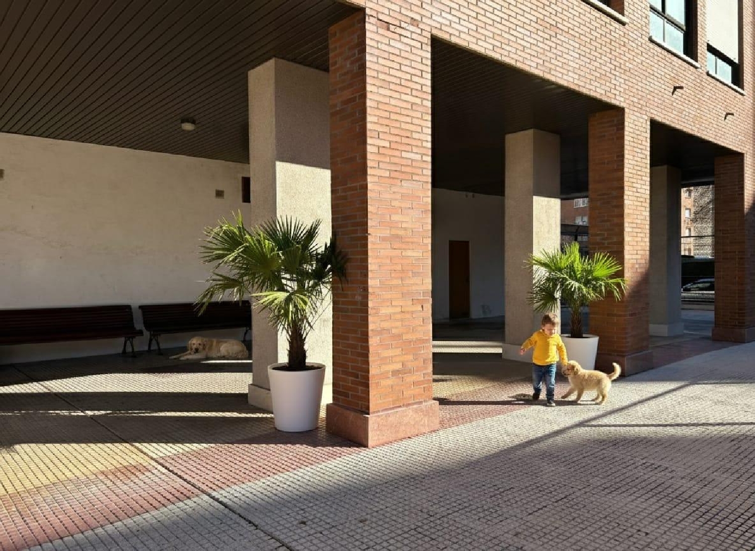  kaufen Wohnung Aldeanueva De Guadalajara Campiña 5