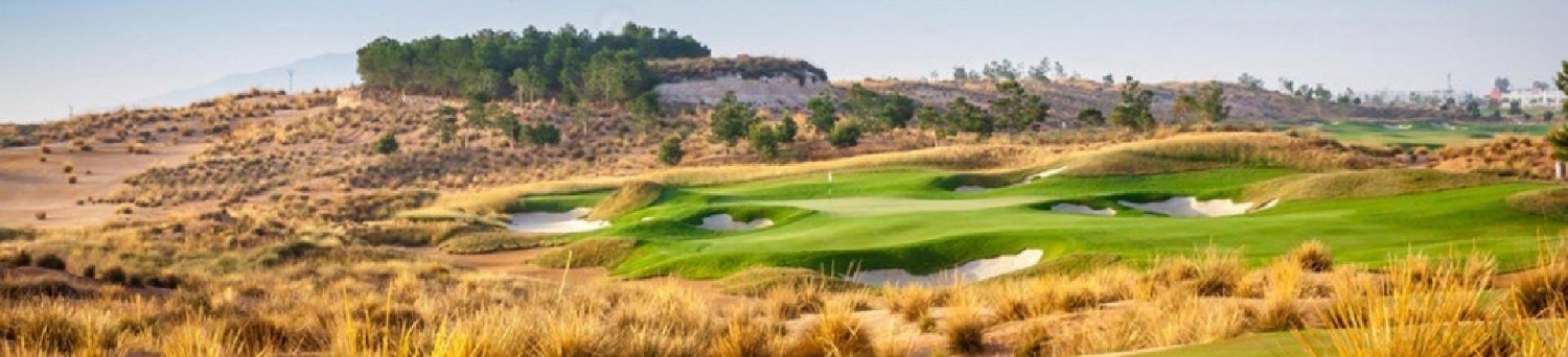  à vendre appartement Alhama De Murcia Bajo Guadalentín 3