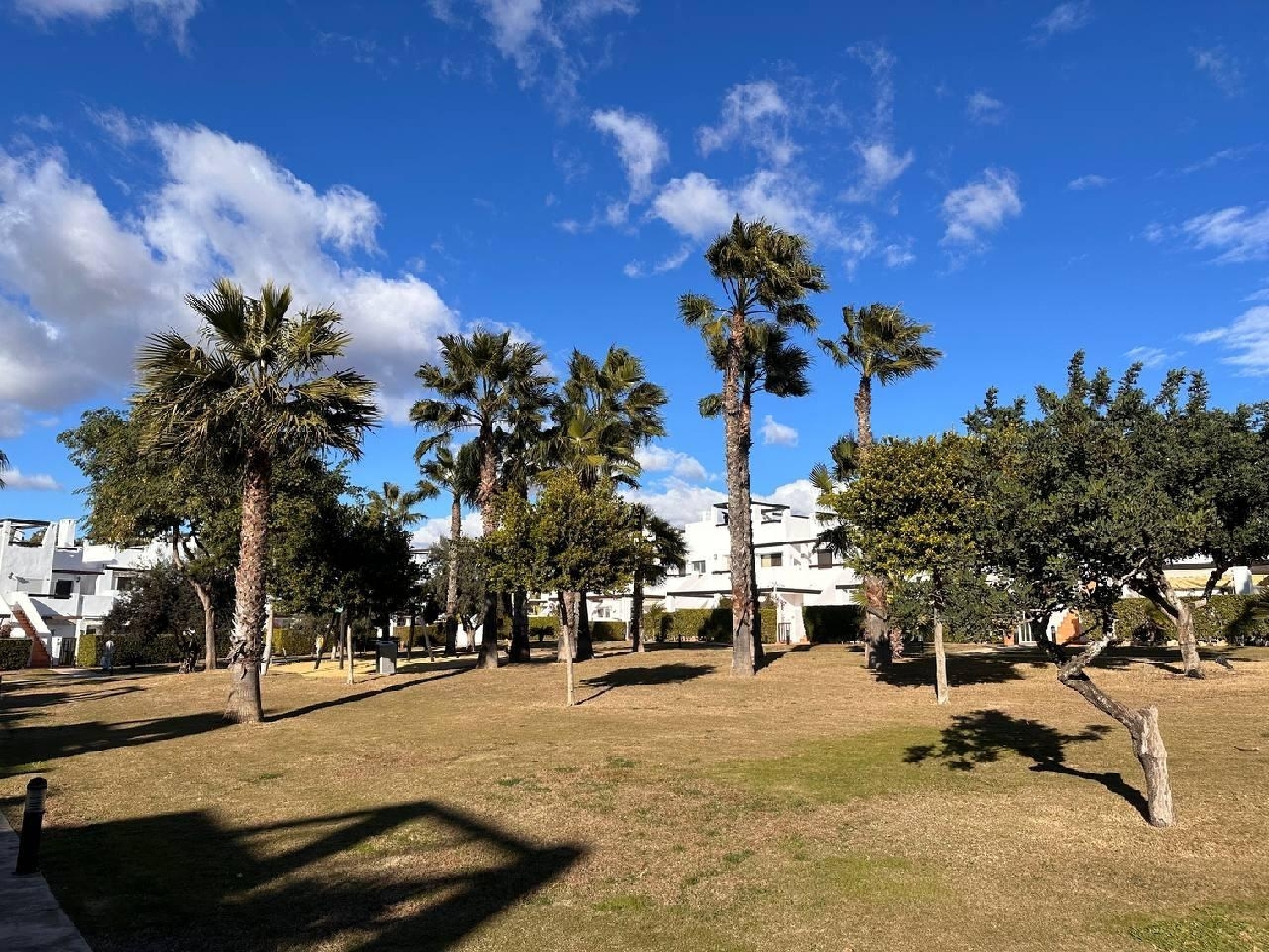  kaufen Wohnung Alhama De Murcia Bajo Guadalentín 2