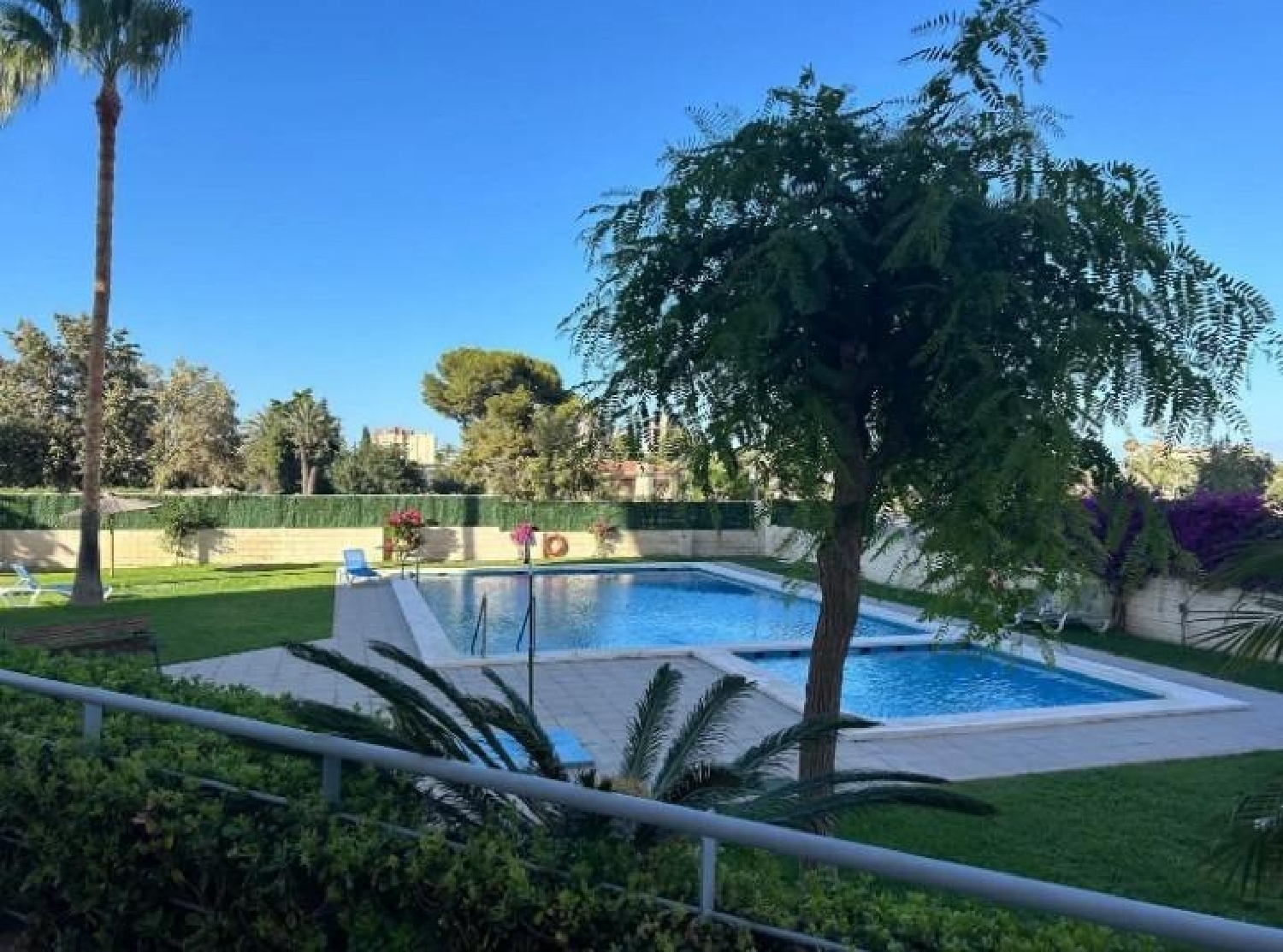  kaufen Wohnung Alicante Centro 03001 Alacantí 2