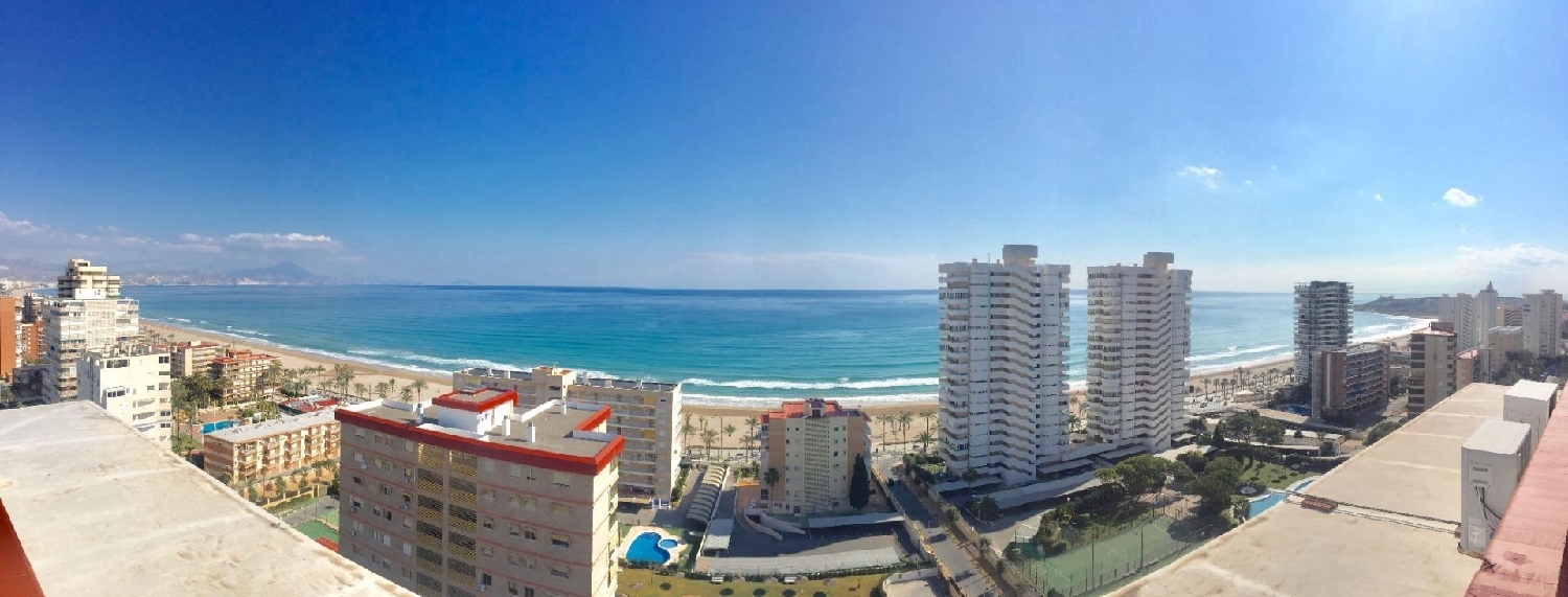 kaufen Wohnung Alicante Centro 03001 Alacantí 1