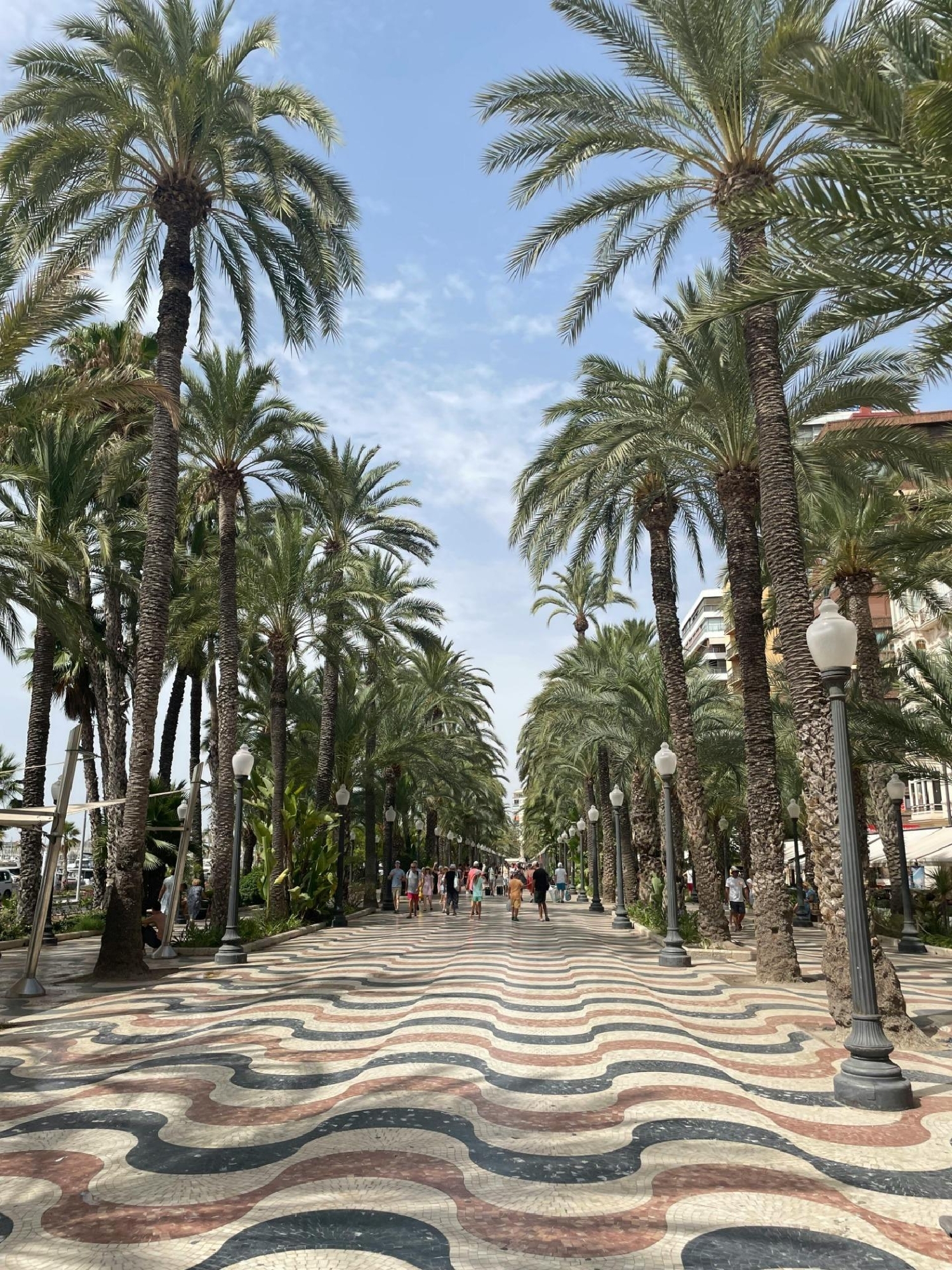  kaufen Wohnung Alicante Centro 03001 Alacantí 4