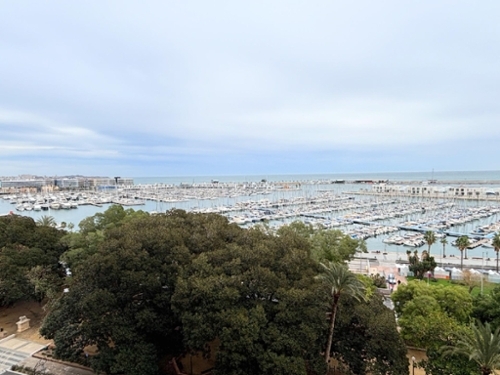 Alicante Centro 03001 Alacantí Wohnung Bild 6346198