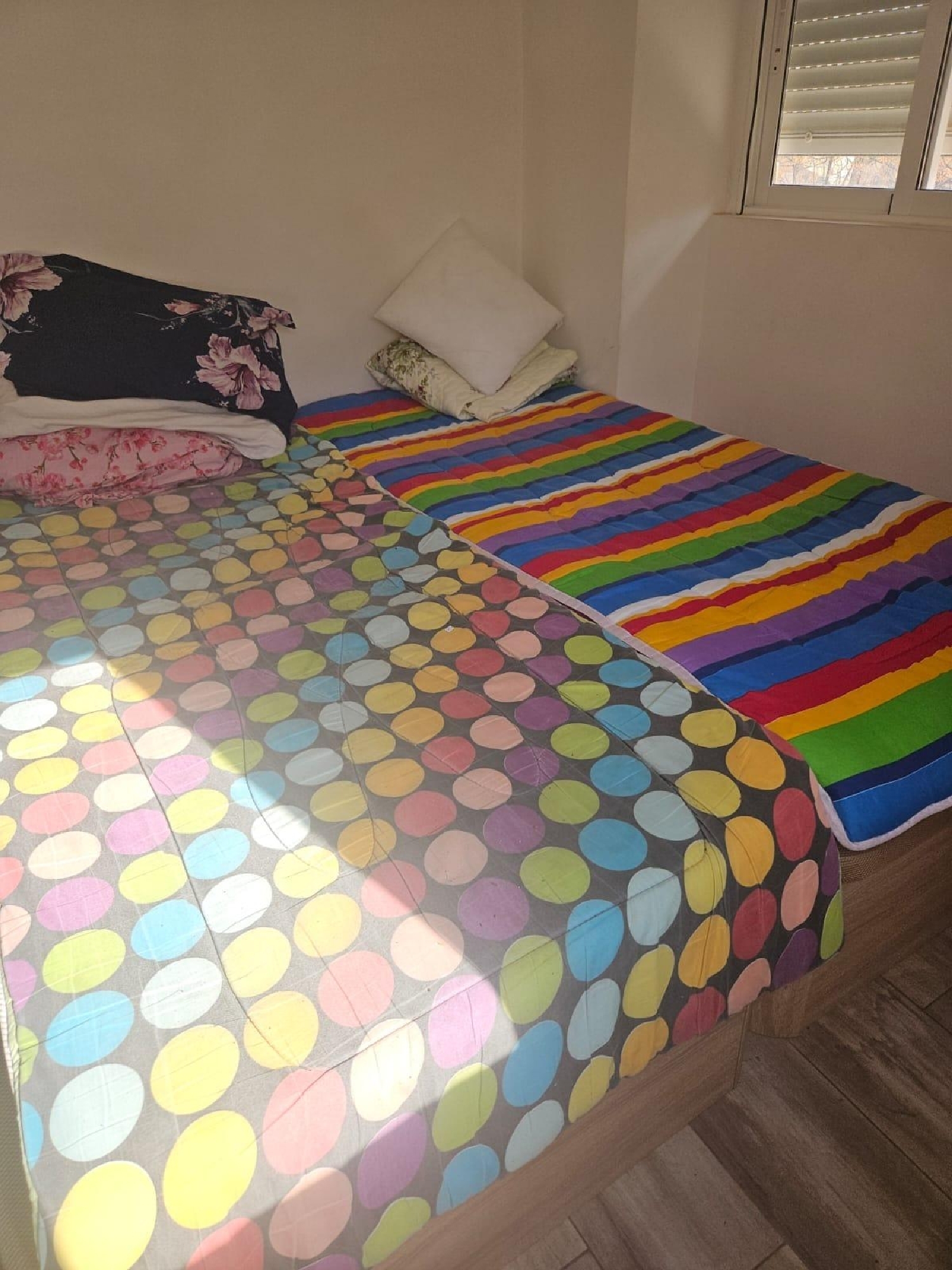  kaufen Wohnung Alicante Centro 03001 Alacantí 5