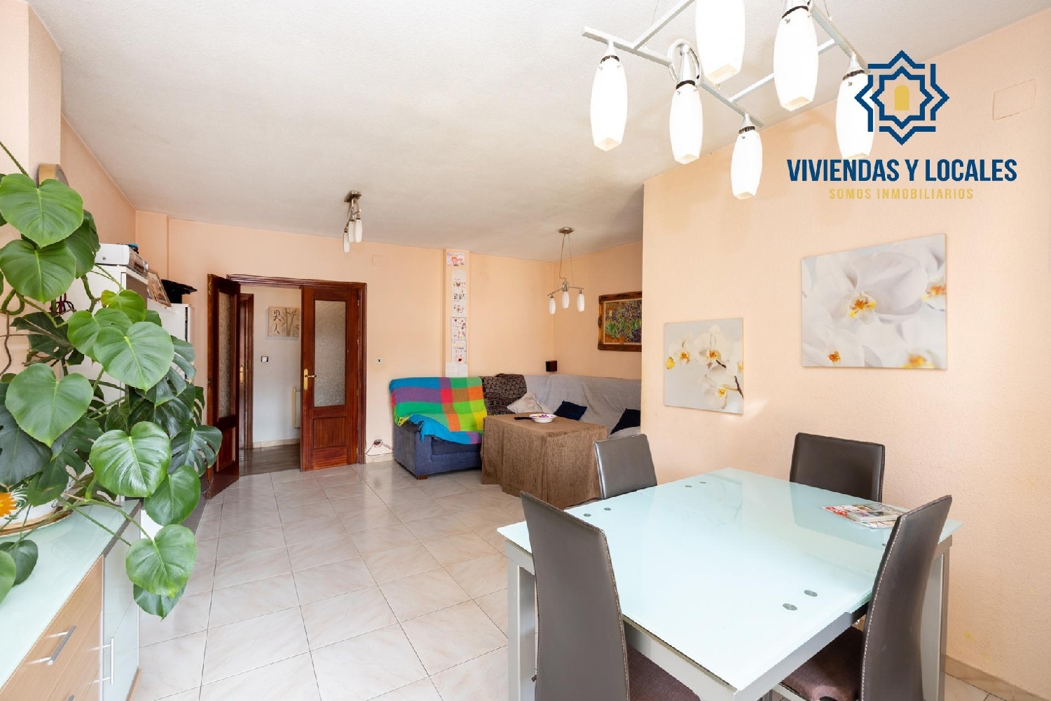  à vendre appartement Armilla Vega De Granada 3
