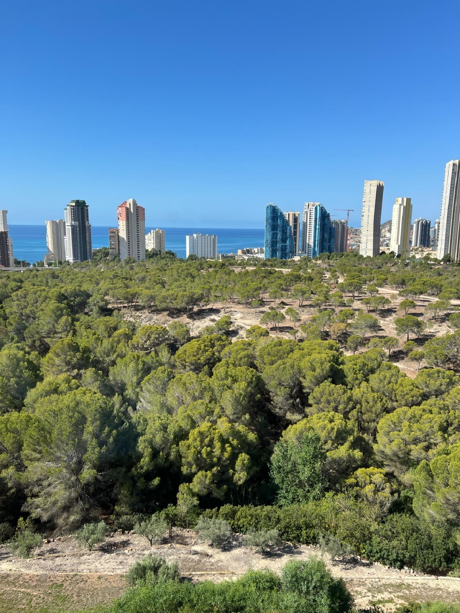 en venta apartamento Benidorm (Centro) Marina Baixa 5