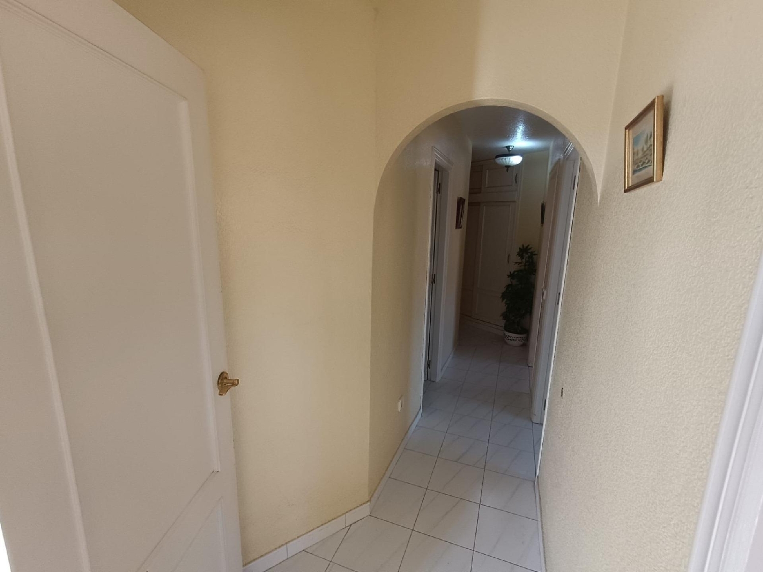  en venta apartamento Benidorm (Centro) Marina Baixa 3