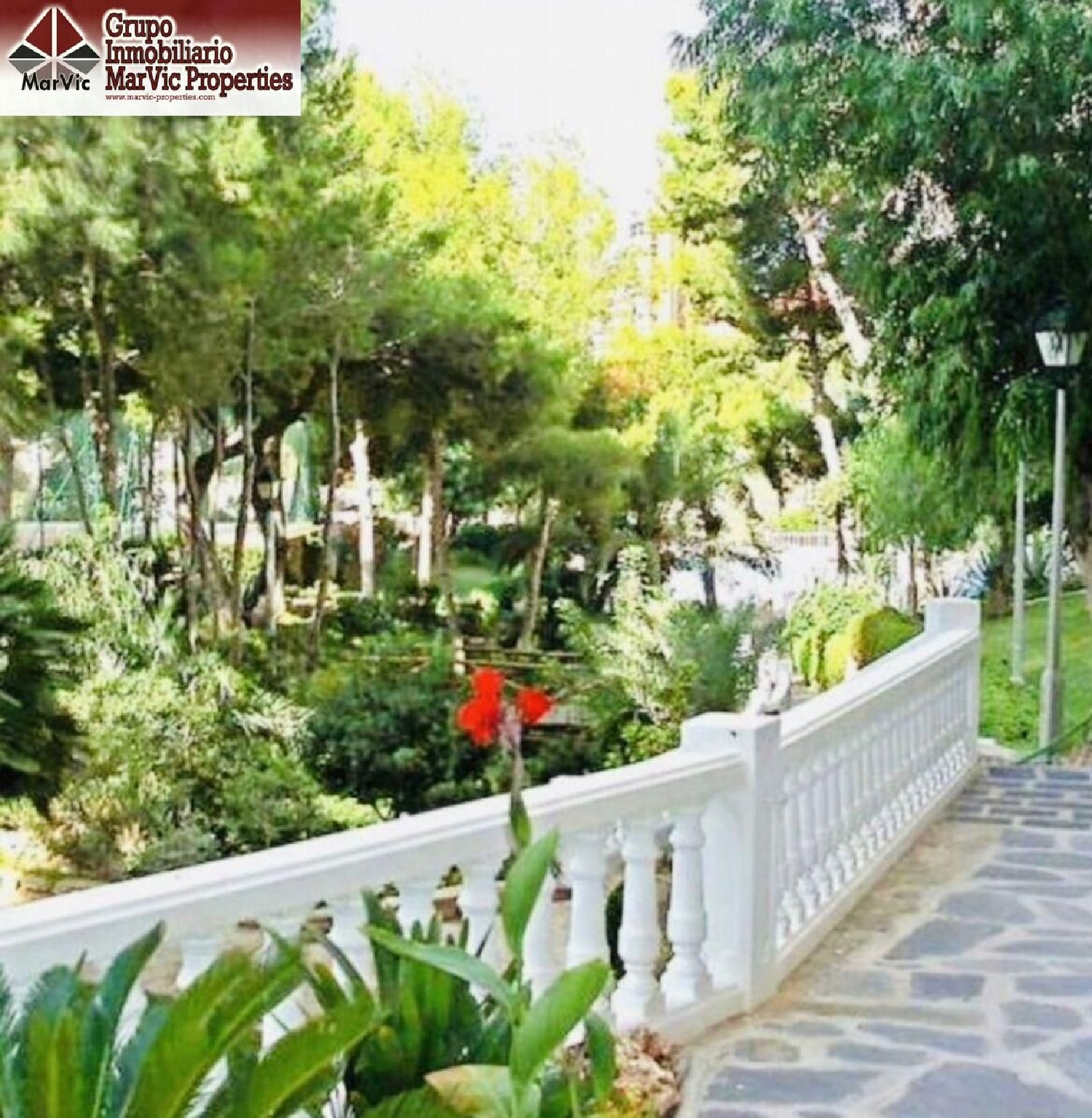  kaufen Wohnung Benidorm (Centro) Marina Baixa 7