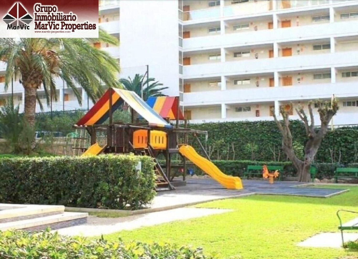  kaufen Wohnung Benidorm (Centro) Marina Baixa 6