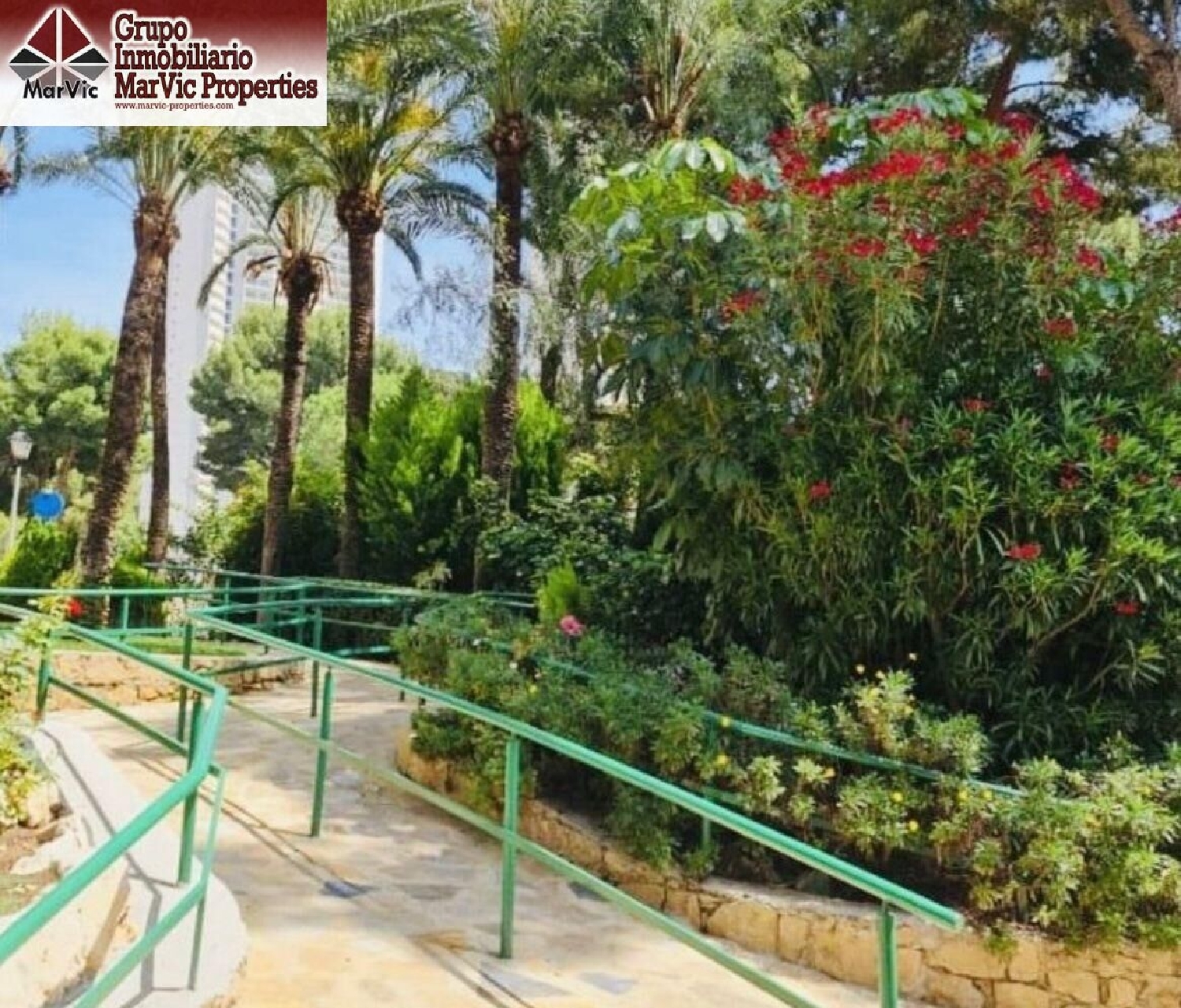  kaufen Wohnung Benidorm (Centro) Marina Baixa 1