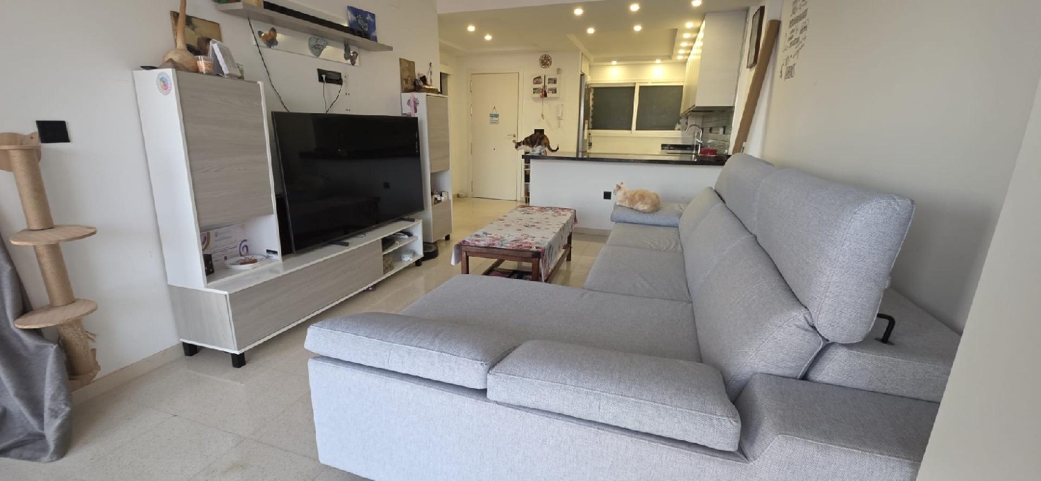  till salu lägenhet Benidorm (Centro) Marina Baixa 6