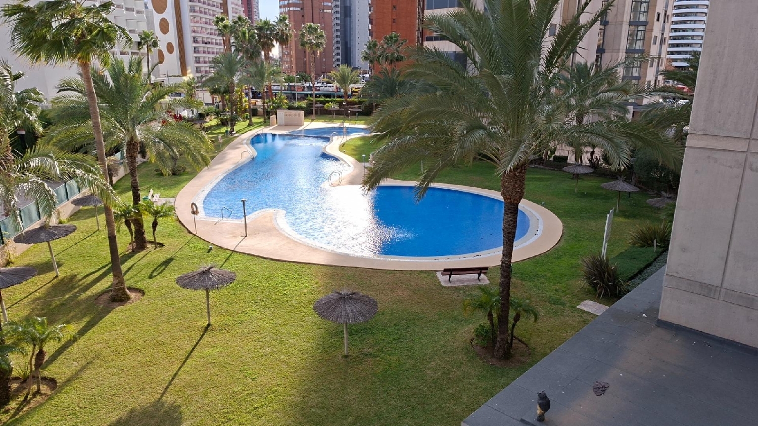  à vendre appartement Benidorm (Centro) Marina Baixa 2
