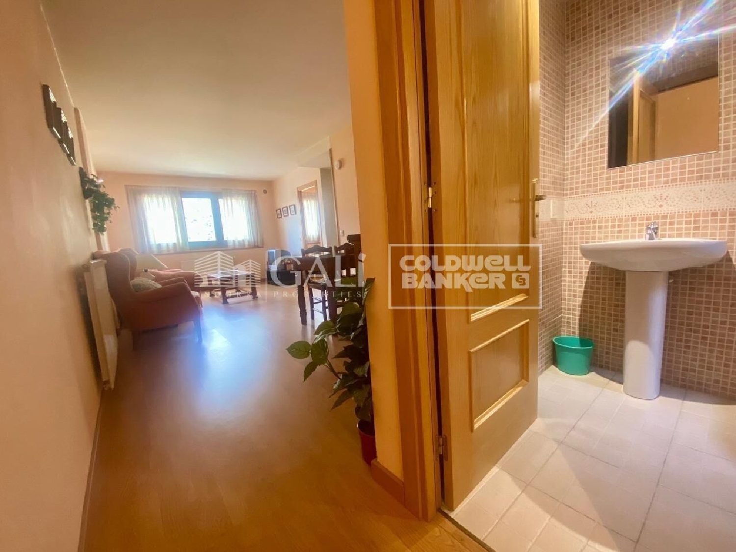 kaufen Wohnung Canillo Canillo 3