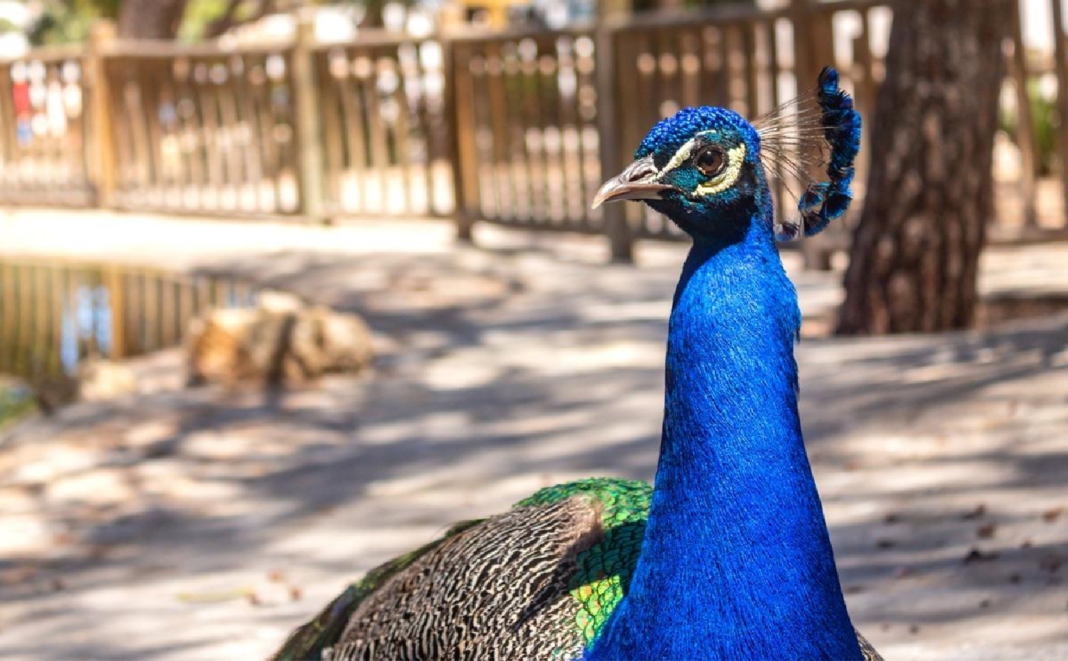  till salu lägenhet Guardamar Del Segura Baix Segura 15