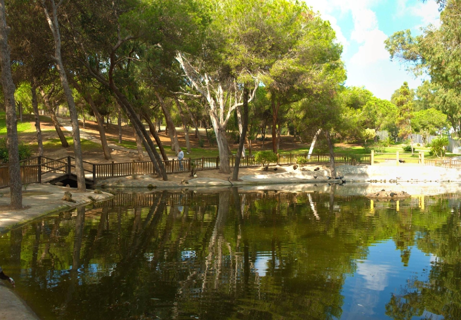  till salu lägenhet Guardamar Del Segura Baix Segura 14