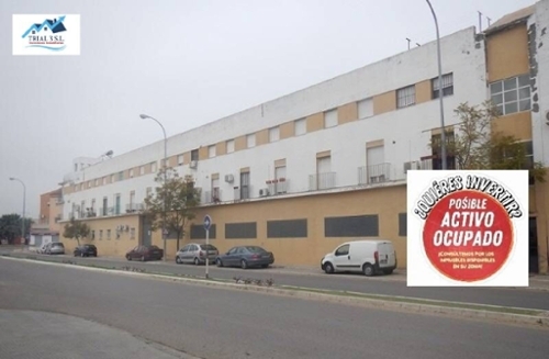 Los Palacios Y Villafranca Bajo Guadalquivir Wohnung Bild 6353622