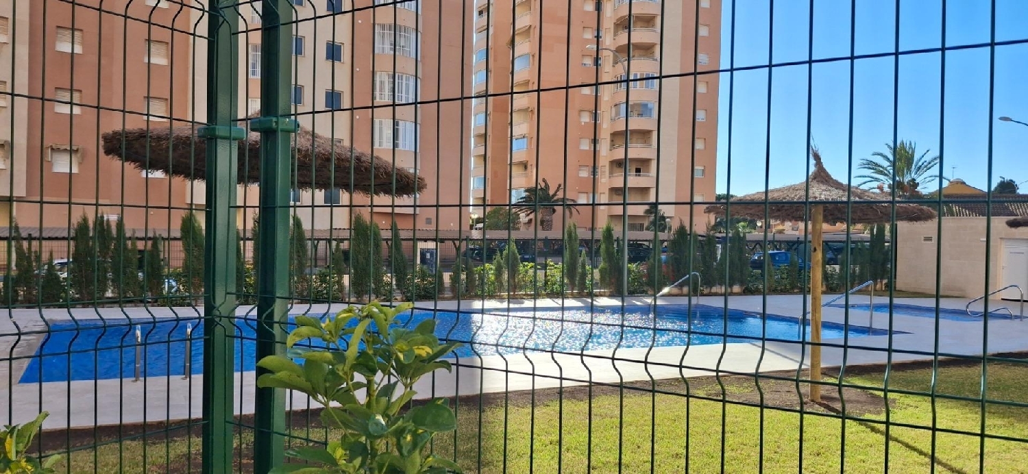 kaufen Wohnung Orihuela Costa Baix Segura 8