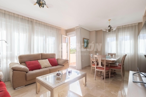 Palmeria Marina Alta Wohnung Bild 6353030