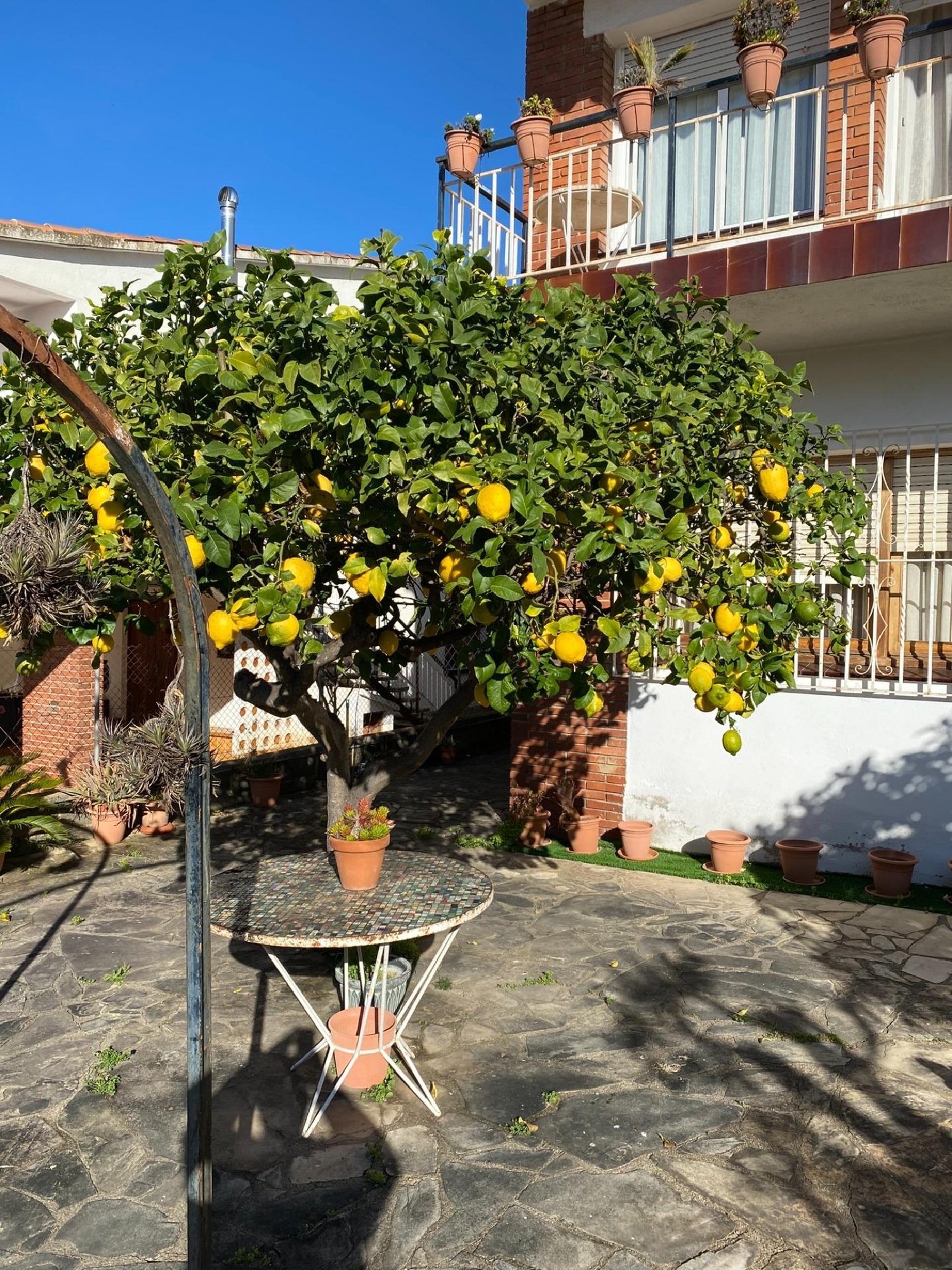  te koop appartement Pineda De Mar Maresme 2