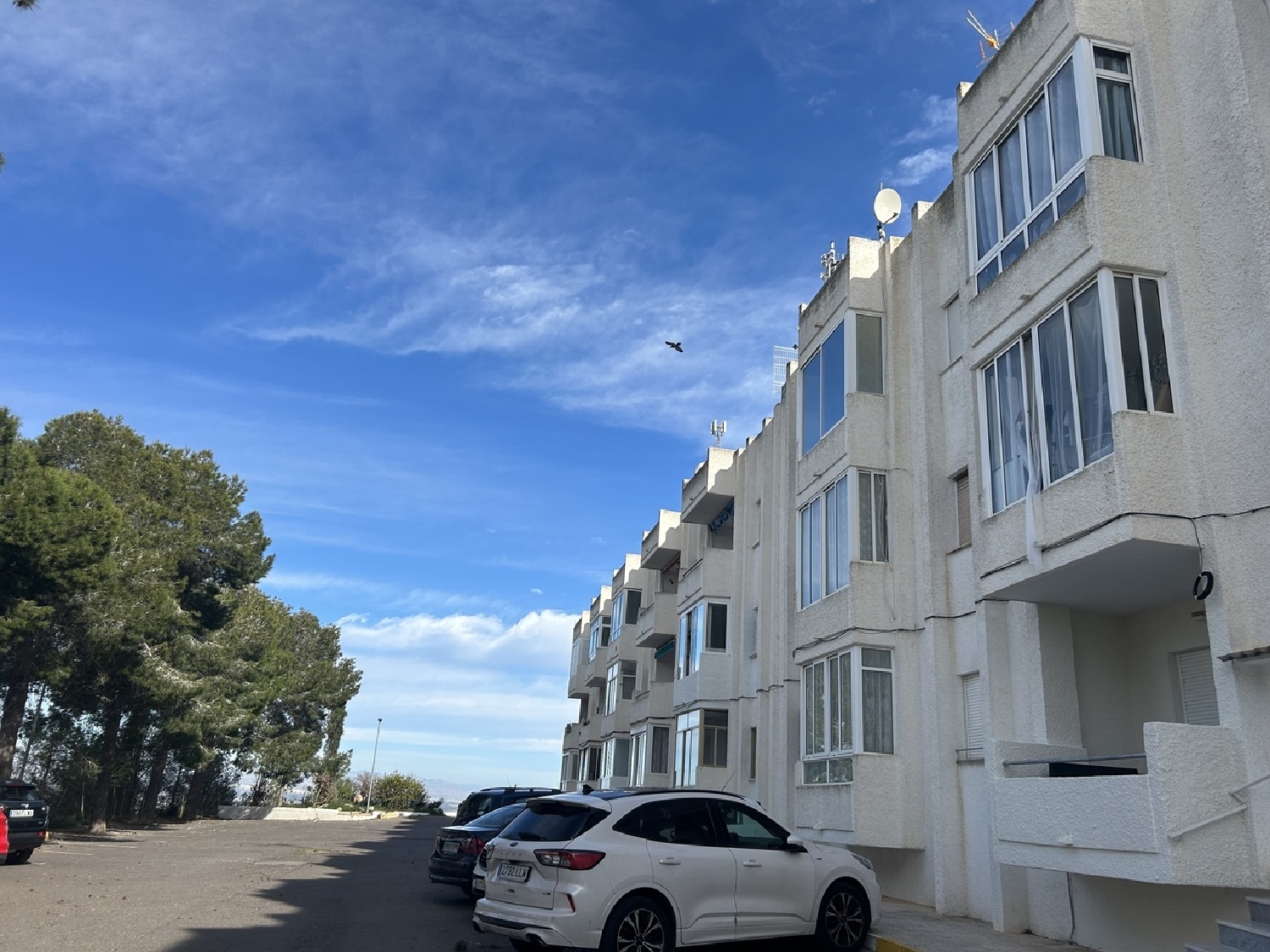  kaufen Wohnung Rojales Baix Segura 3